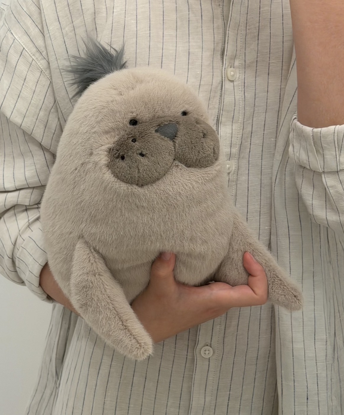 （預購）Jellycat Roarwell 羅威爾海獅 絨毛玩偶 20cm