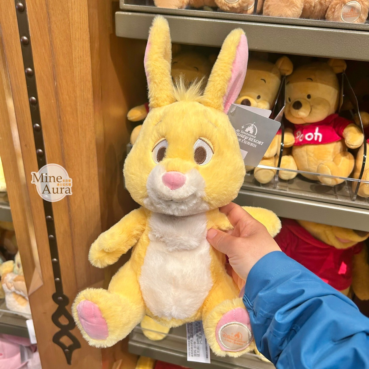 瑞比 Rabbit 絨毛 玩具 娃娃 玩偶 小熊維尼 Winnie the Pooh -上海迪士尼樂園