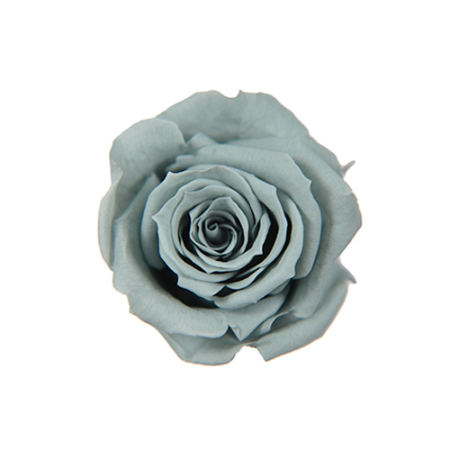 FL070-42 Mist Green｜3.5-4.5公分 8輪｜Florever