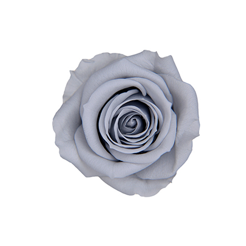 FL070-83 Silky Gray｜3.5-4.5公分 8輪｜Florever