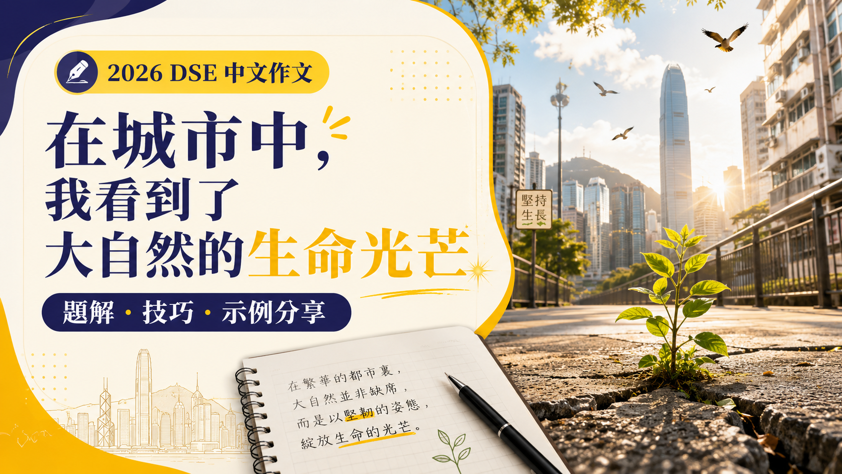 2026 DSE 中文作文在城市中我看到了大自然的生命光芒題解技巧示例分享
