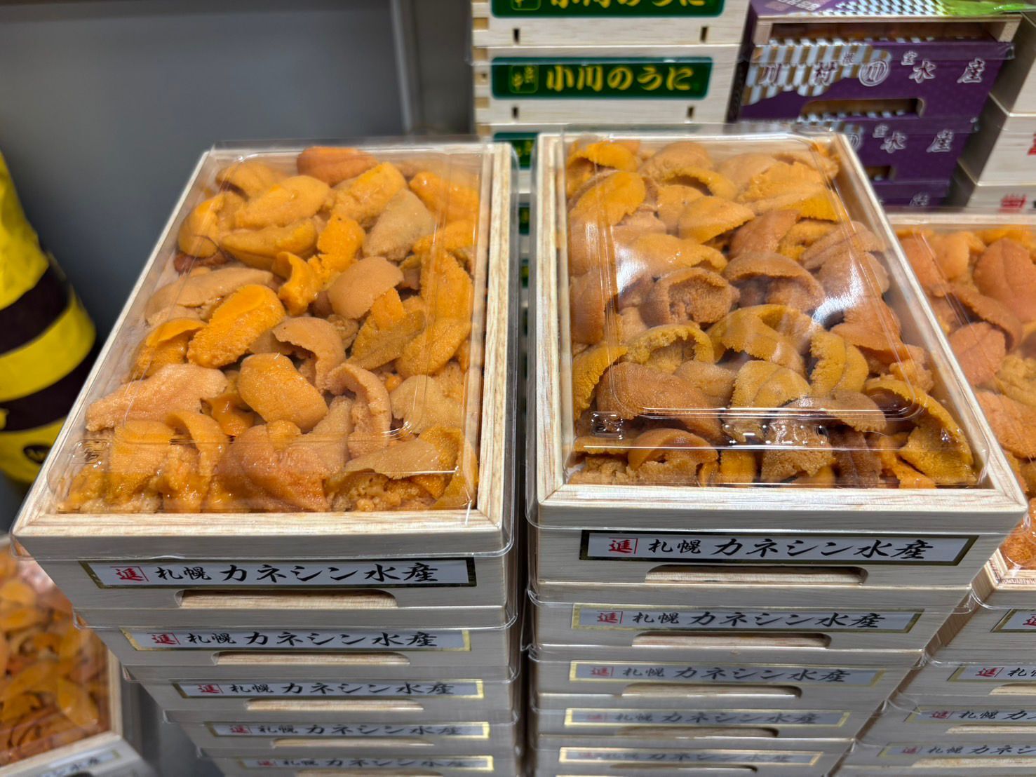札幌丸進 馬糞海膽 亂排 250克