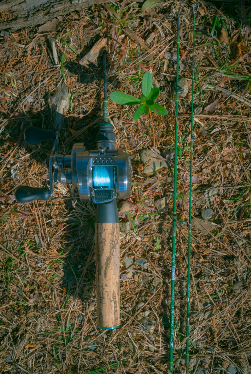 JetSlow×TULALA JetSetter 36C Sprout