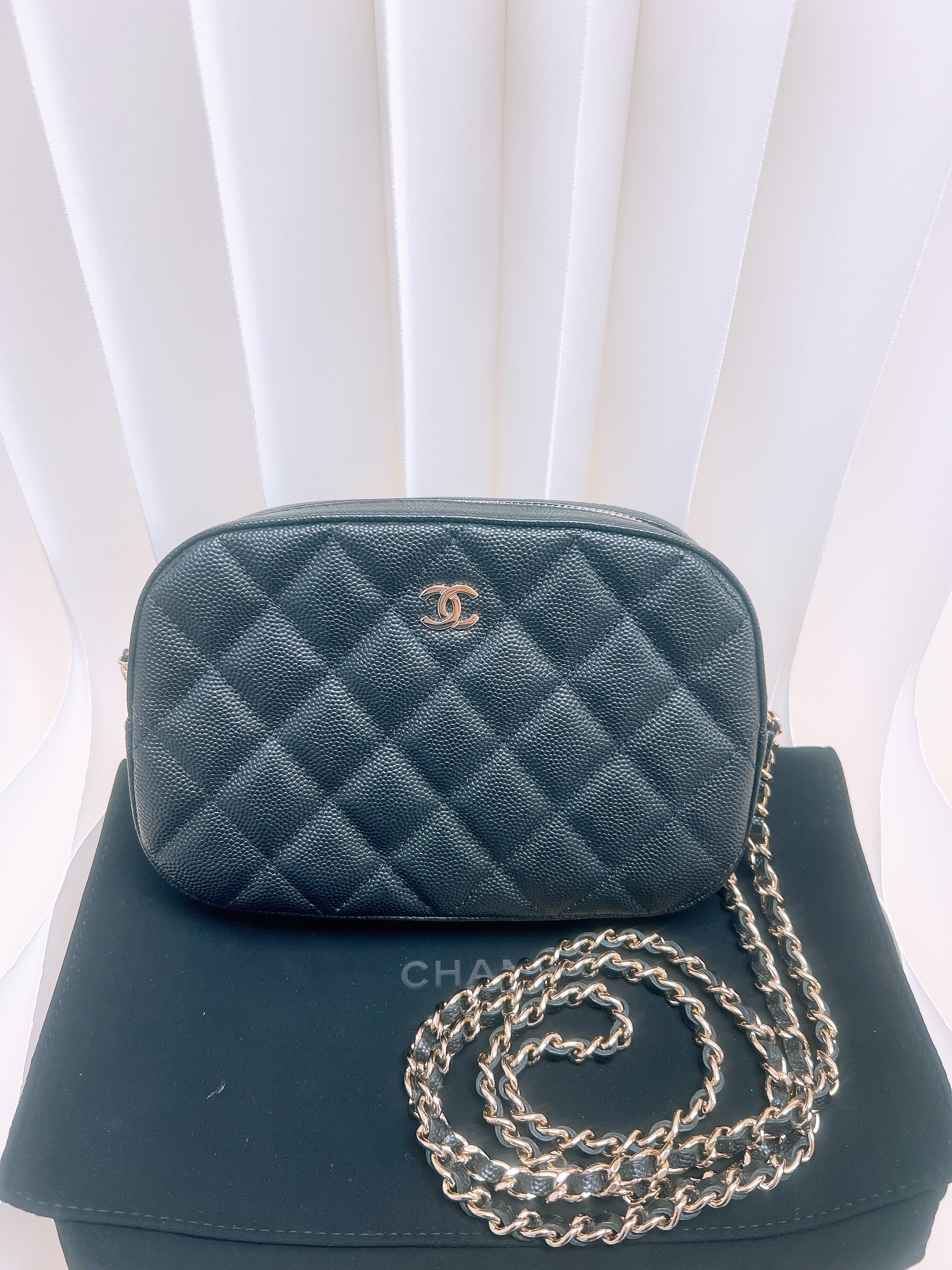 Chanel camera bag (black caviar GHW)
