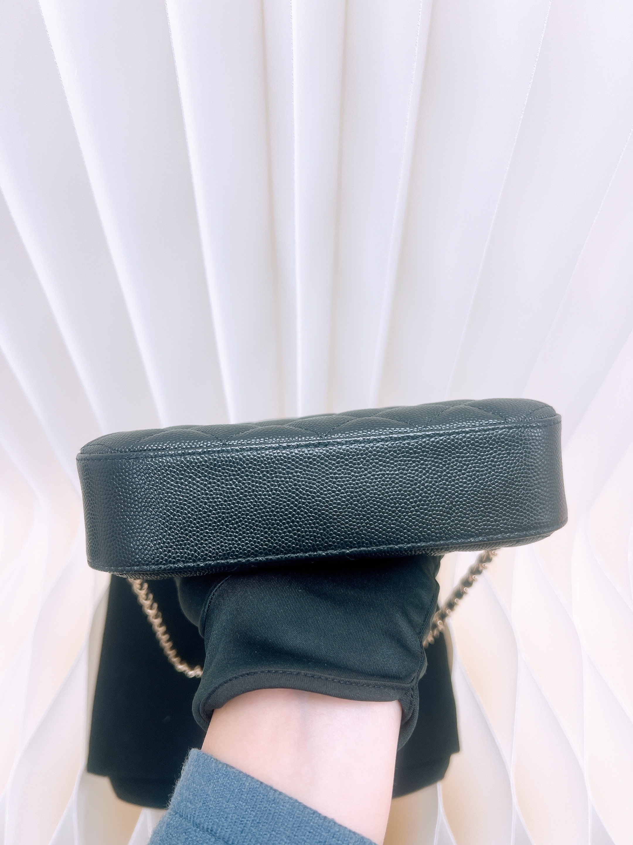 Chanel camera bag (black caviar GHW)