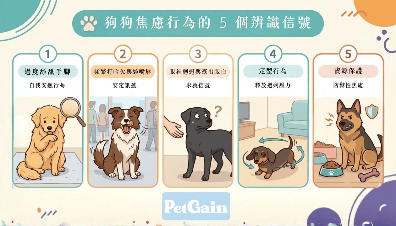 狗狗焦慮行為的 5 個辨識信號
