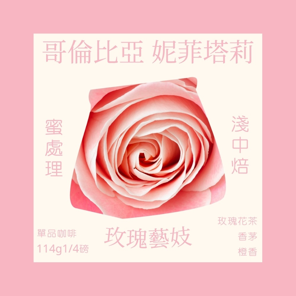 淺中焙｜哥倫比亞 薇拉 聖塔芭芭拉莊園｜妮菲塔莉 玫瑰藝伎 (蜜處理) 1/4磅｜暖窩咖啡