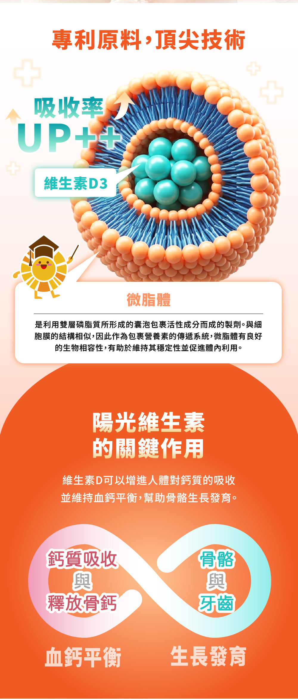 微脂體D3吸收效率提升，發揮陽光維生素的關鍵作用