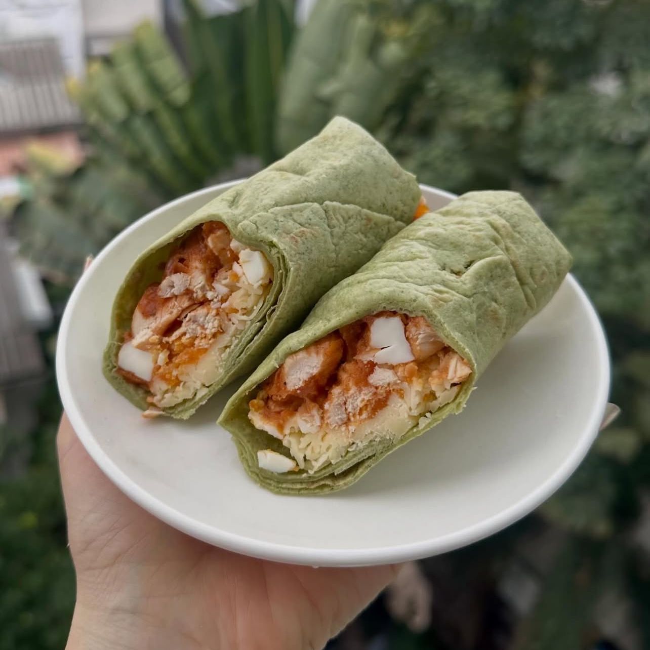 [TL09] [-18°C] Lean Life Roll Wrap