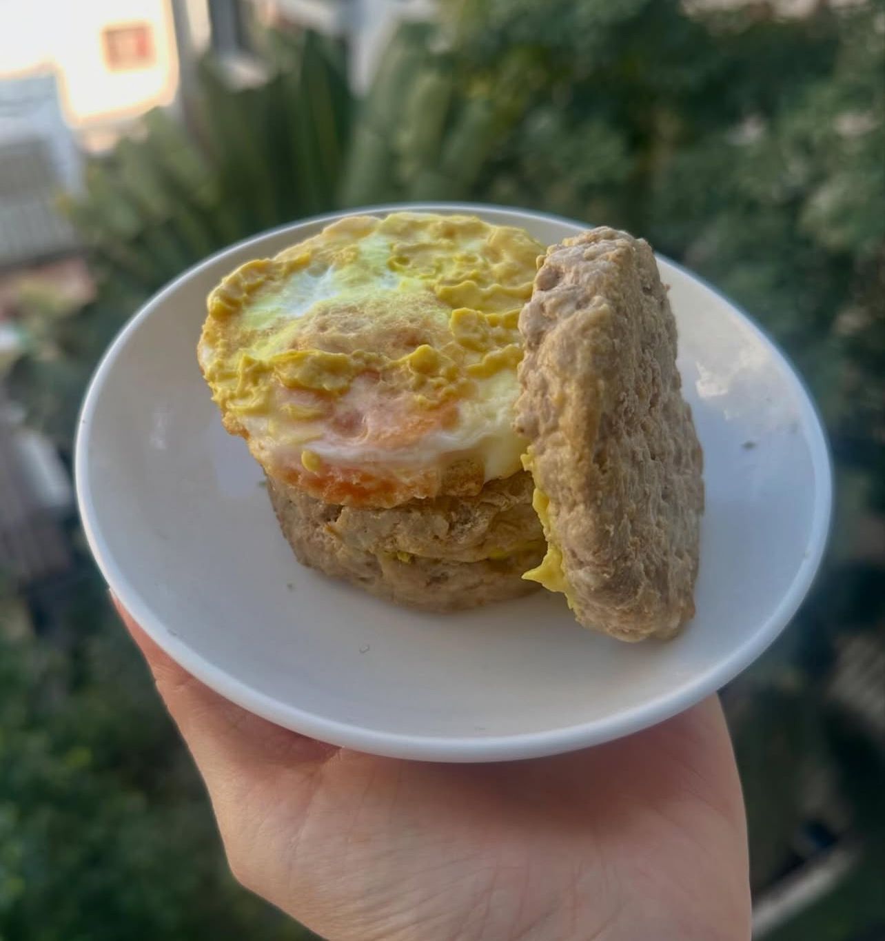 [TL09] [-18°C] Lean Life Healthy Burger