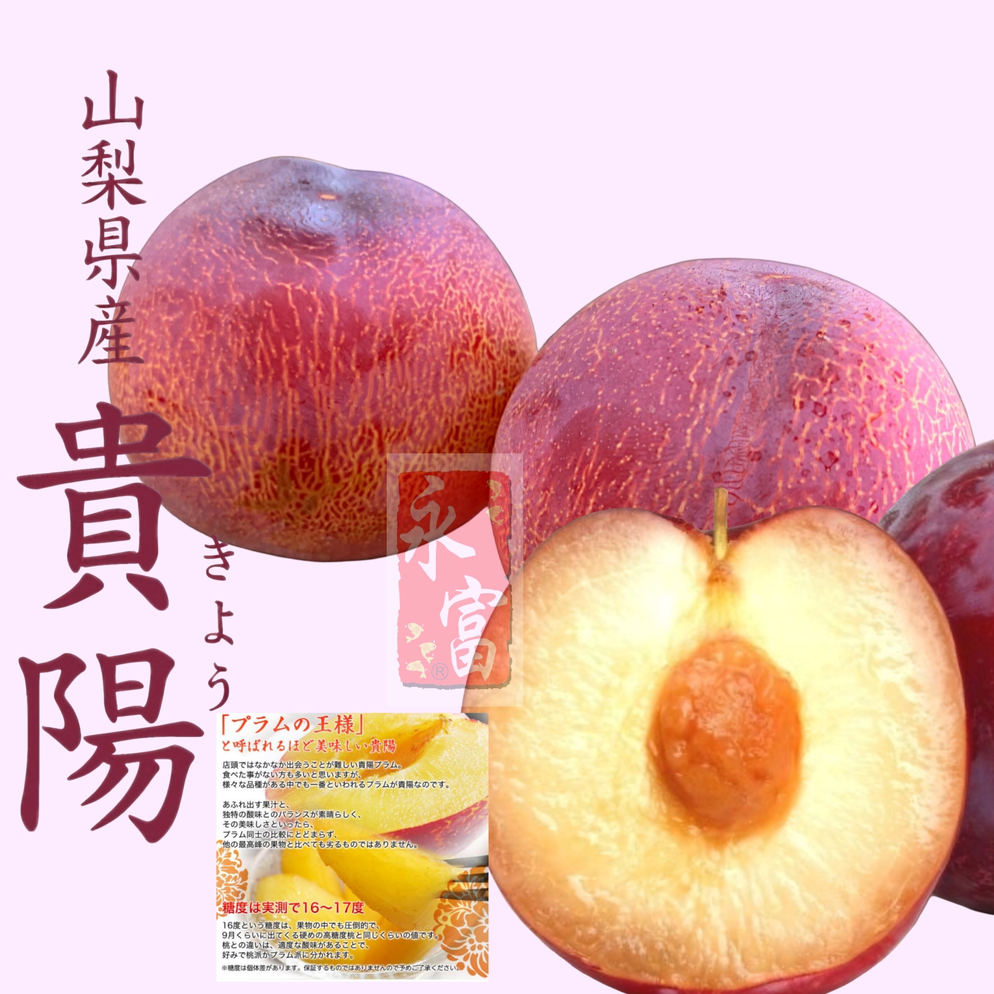 日本山梨縣貴陽布冧(4個)