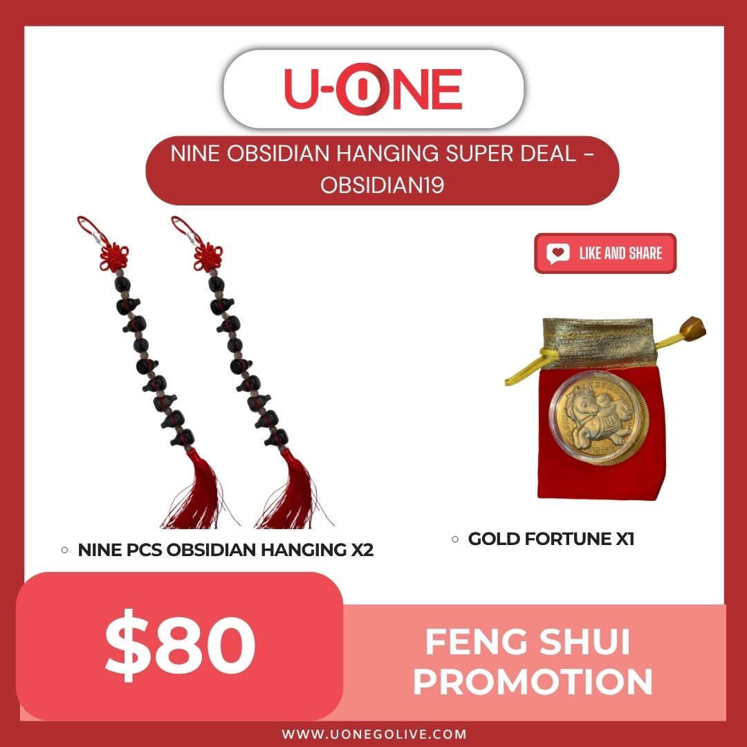 NINE OBSIDIAN HANGING SUPER DEAL - OBSIDIAN19
