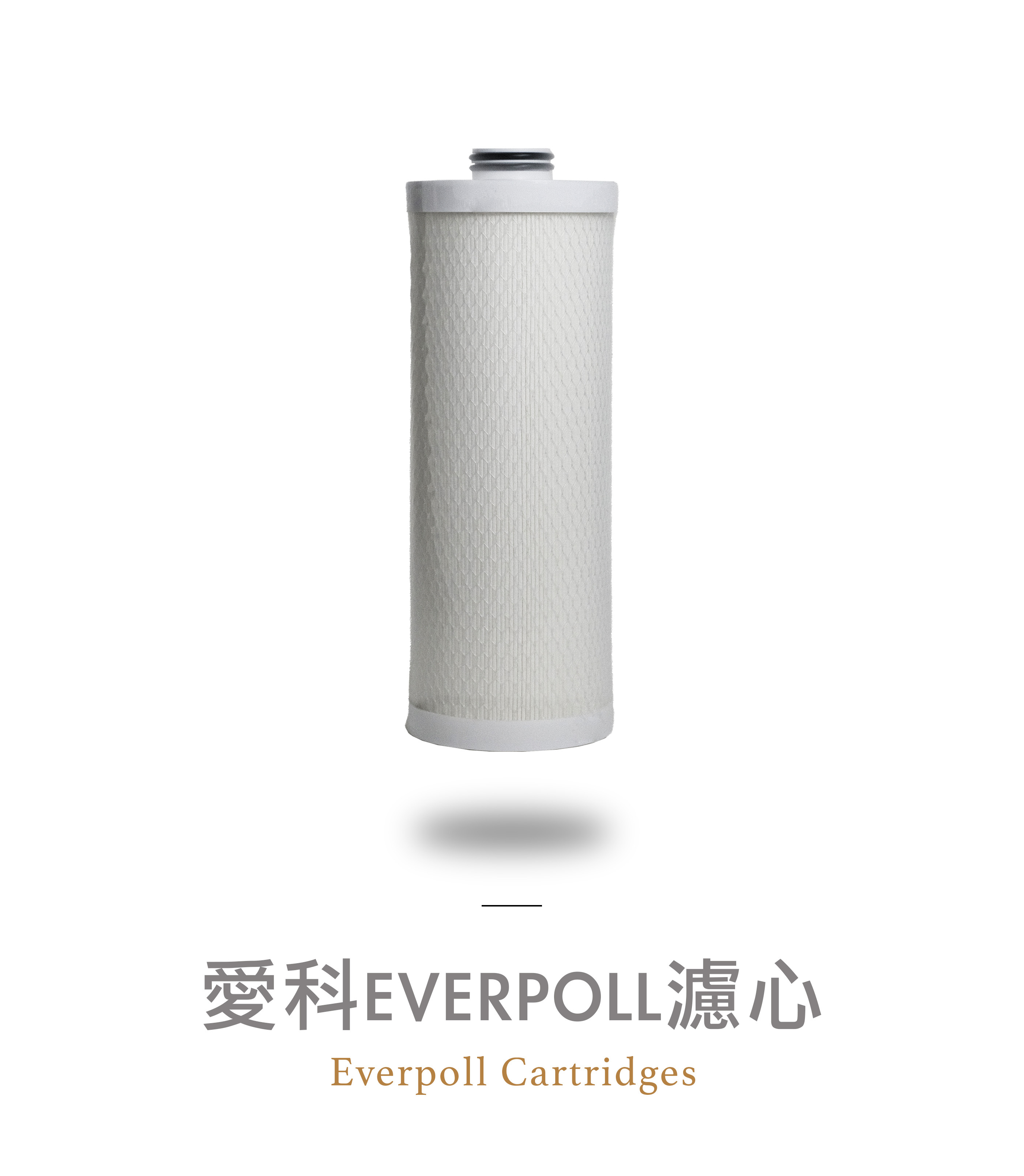 EVERPOLL愛科 濾心