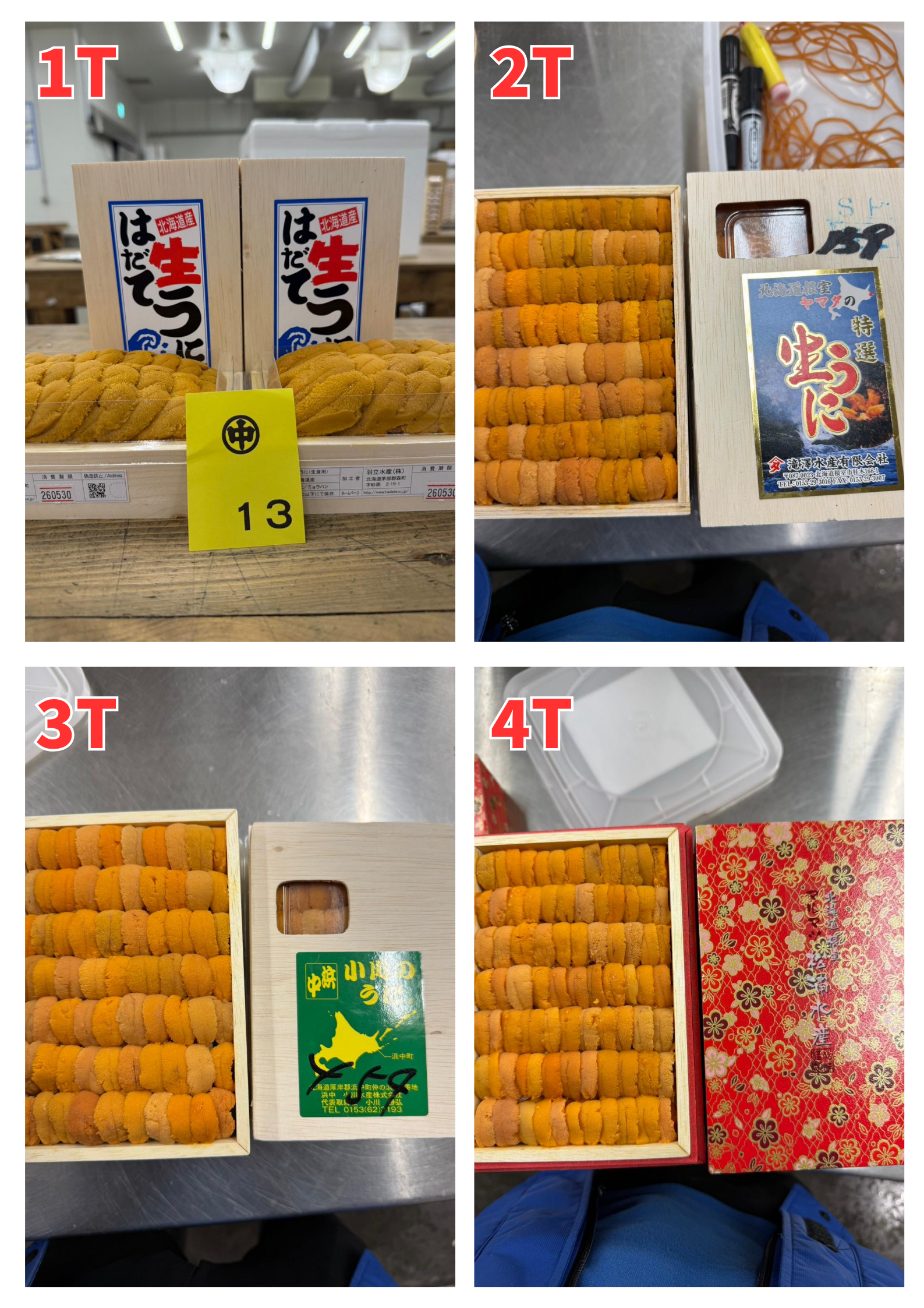 【Recommended Sea Urchin (Uni) Selection】 Updated Daily (Order Today for Next-Day Delivery)