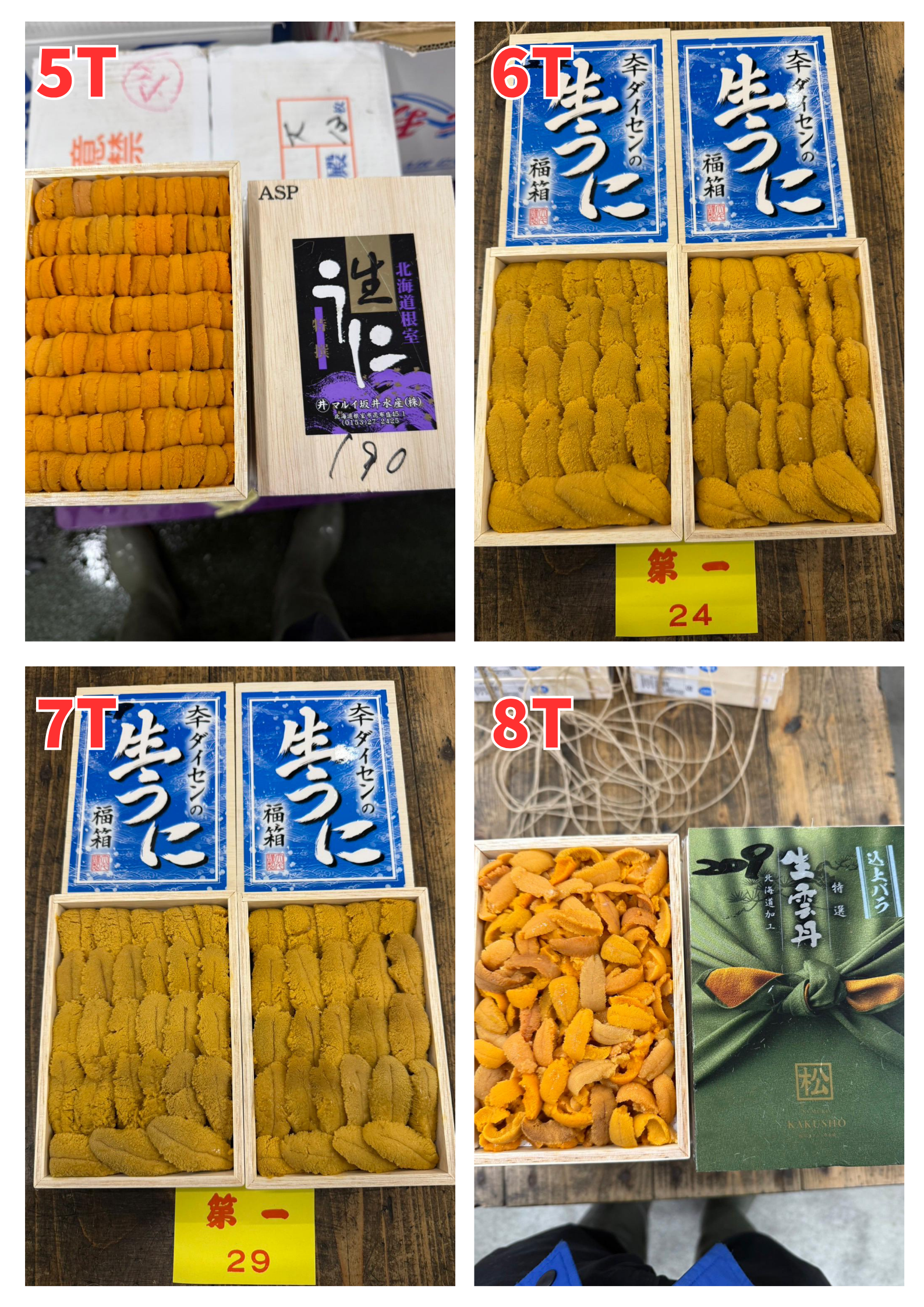 【Recommended Sea Urchin (Uni) Selection】 Updated Daily (Order Today for Next-Day Delivery)