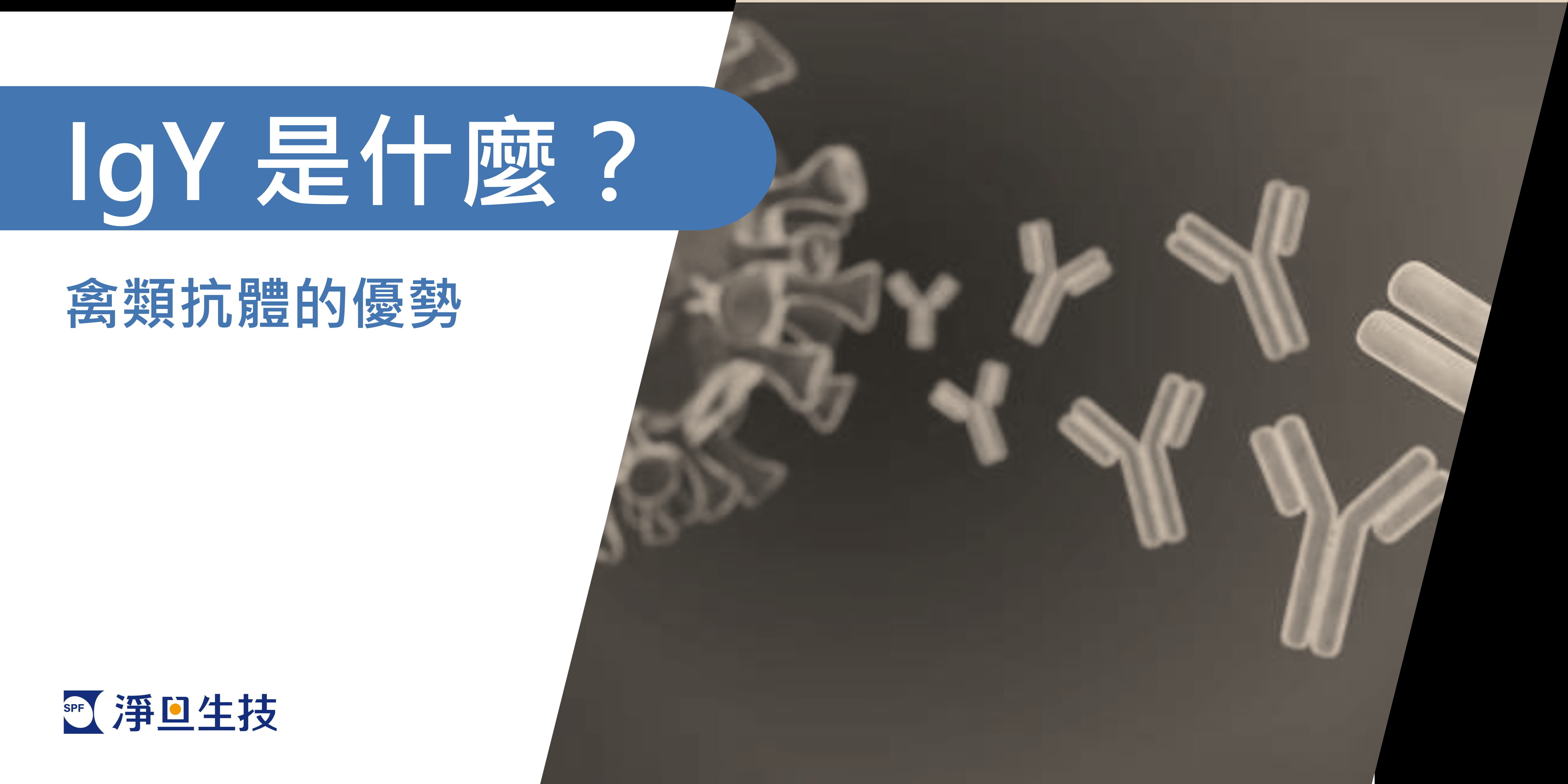 21世紀不能不知道的健康大革命：IgY，重要程度遠超乎想像