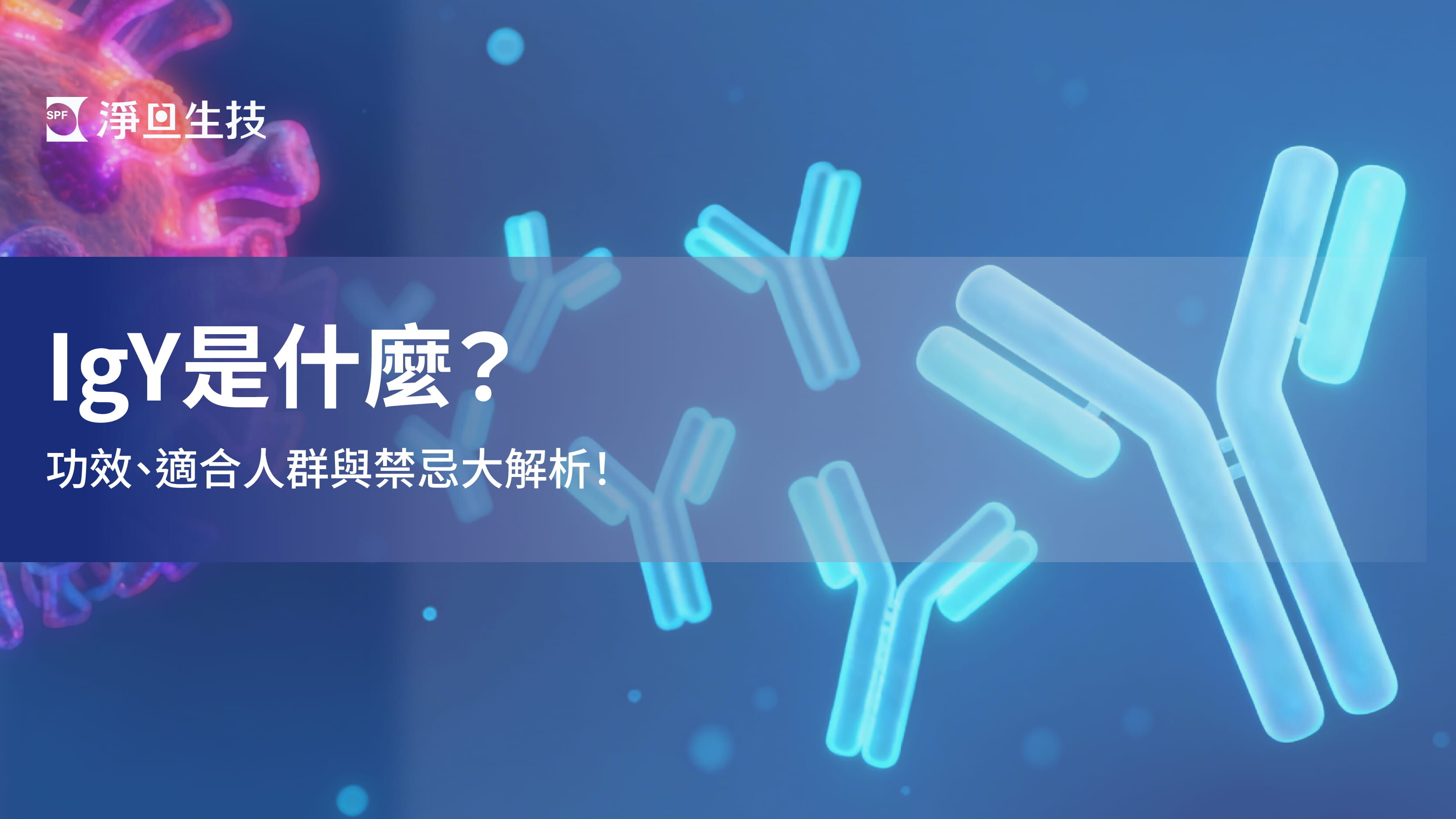 IgY是什麼？IgY免疫球蛋白功效、適合人群與禁忌、挑選原則一篇解析！