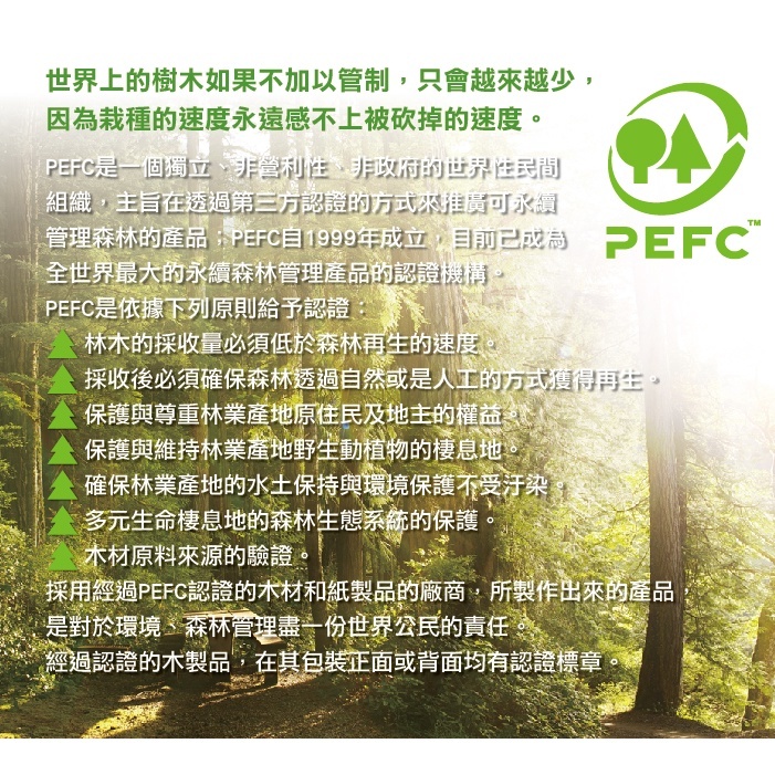 【樂森藥局】義大利 GIOTTO可洗式寶寶木質蠟筆(12色新款)