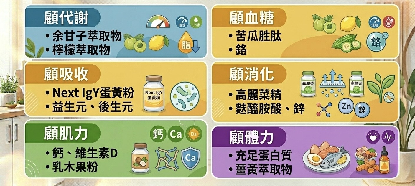 顧代謝 •余甘子萃取物 •檸檬萃取物 顧血糖 •苦瓜胜肽 •鉻 顧吸收 •Next IgY蛋黃粉 •益生元、後生元 顧消化 •高麗菜精 •麩醯胺酸、鋅 顧肌力 •鈣、維生素D •乳木果粉 顧體力 •充足蛋白質 •薑黃萃取物