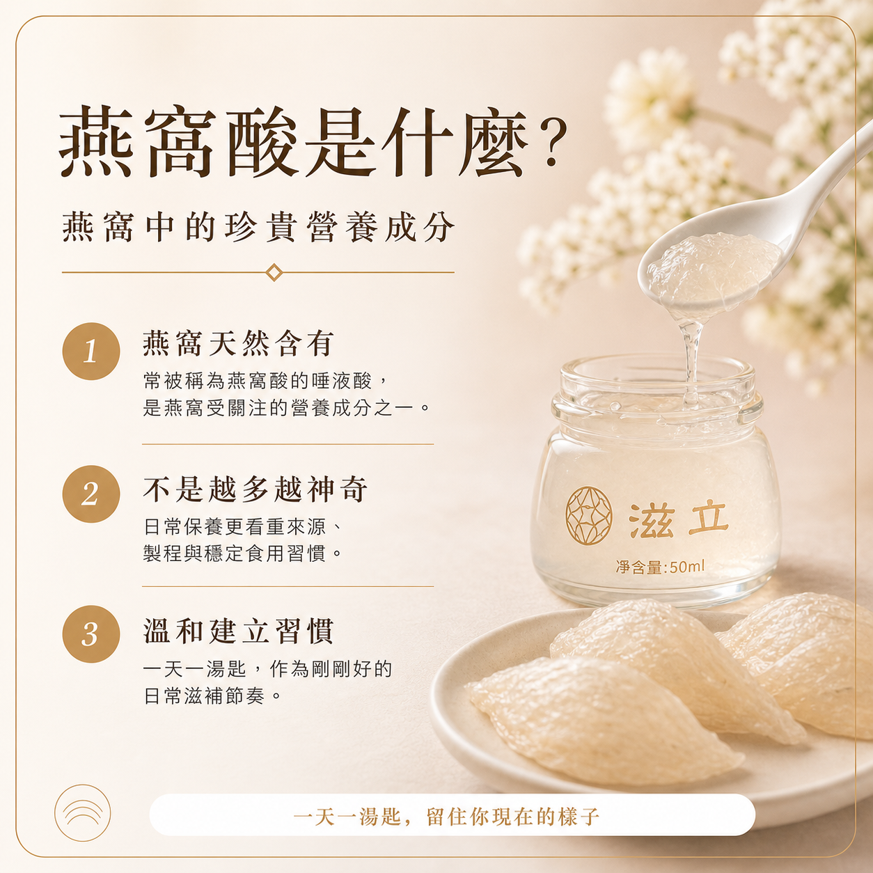 燕窩酸是什麼：認識燕窩中的唾液酸與日常保養
