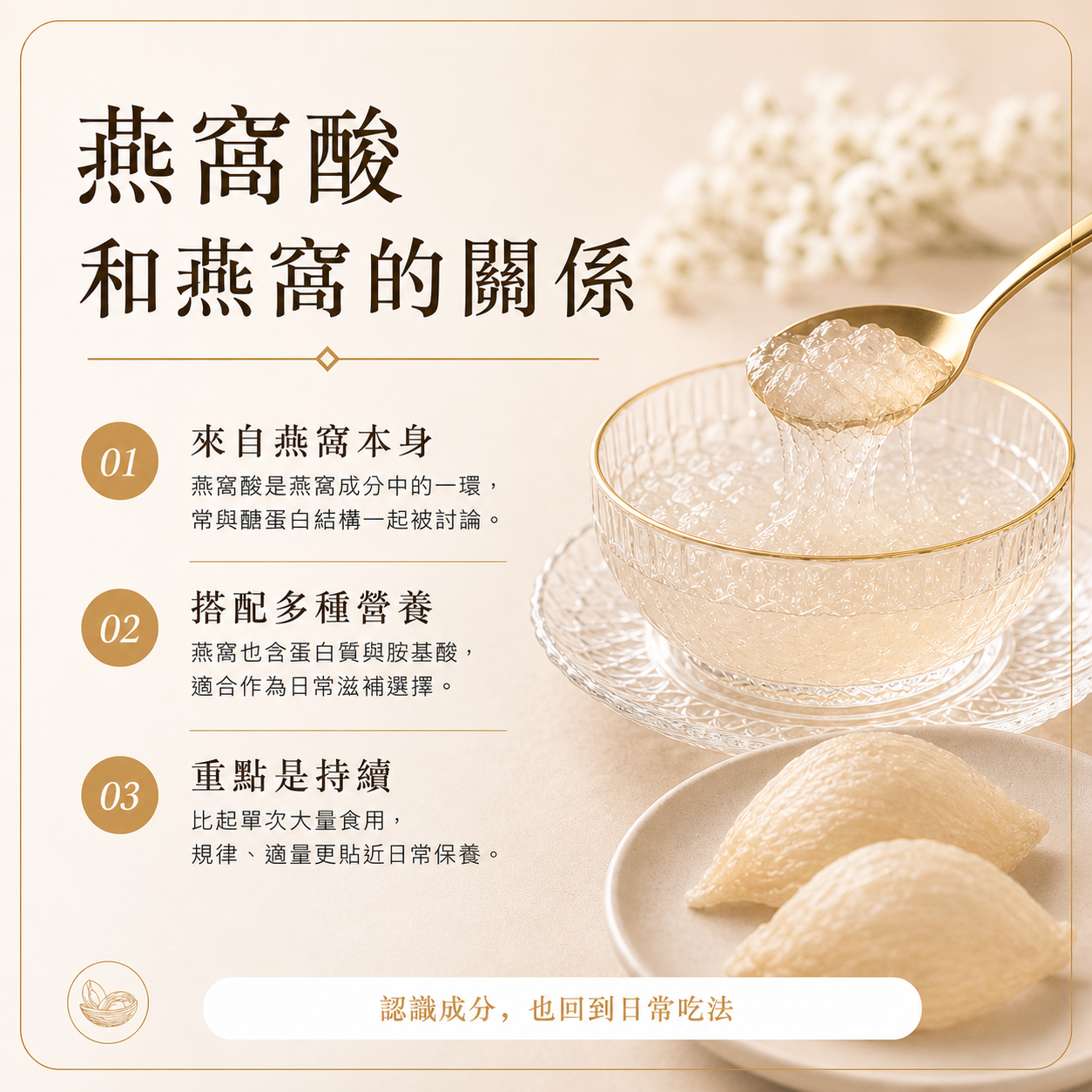 燕窩酸和燕窩的關係：醣蛋白、胺基酸與日常滋補