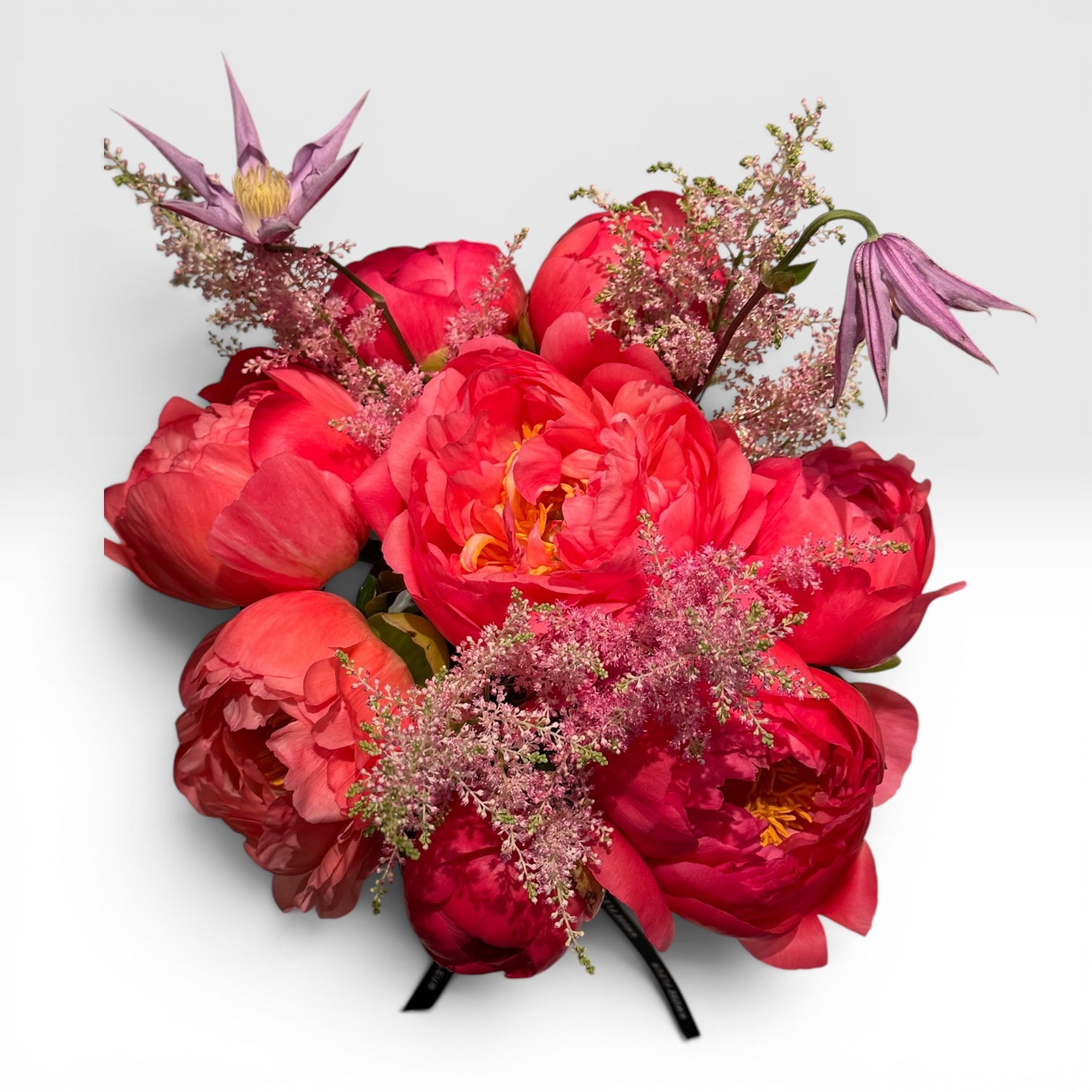 Coral Bloom Love