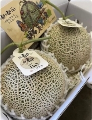 台東院｜嘟嘟瓜-兩粒裝(含運費)