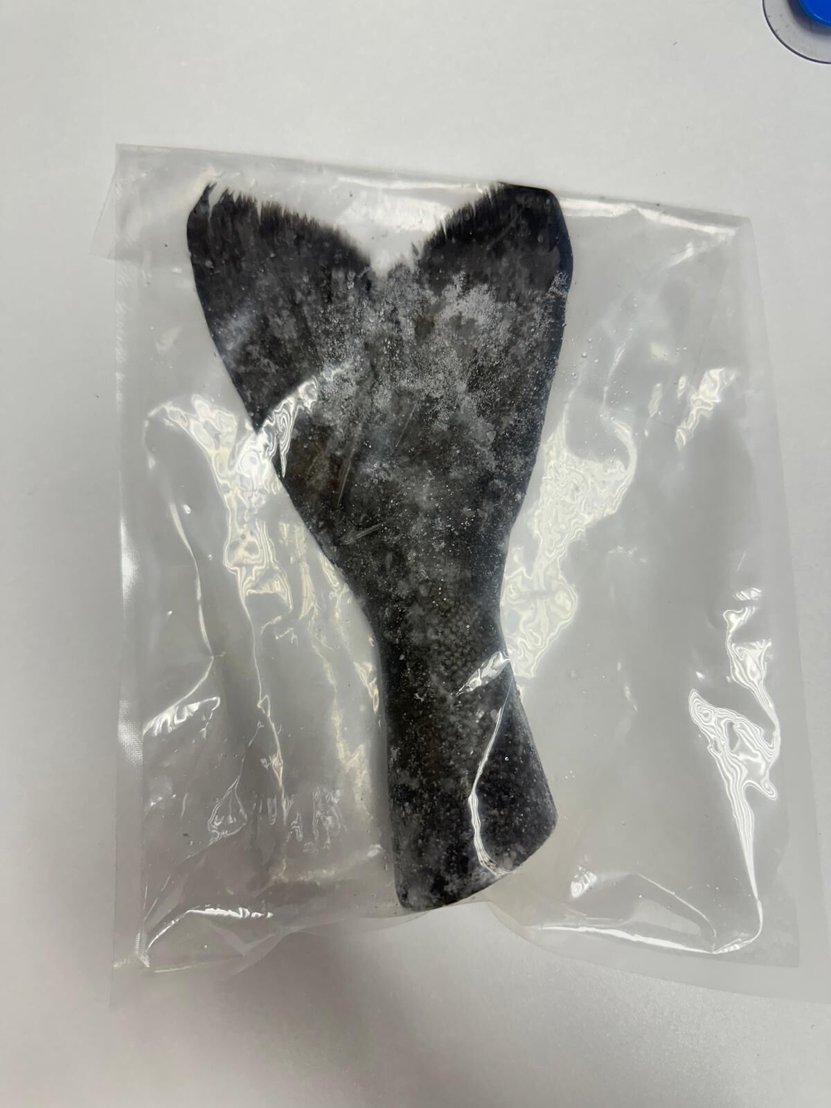 【急凍貨】0527 HKTVMall直播 美國 SPC 銀鱈魚 魚尾 1件