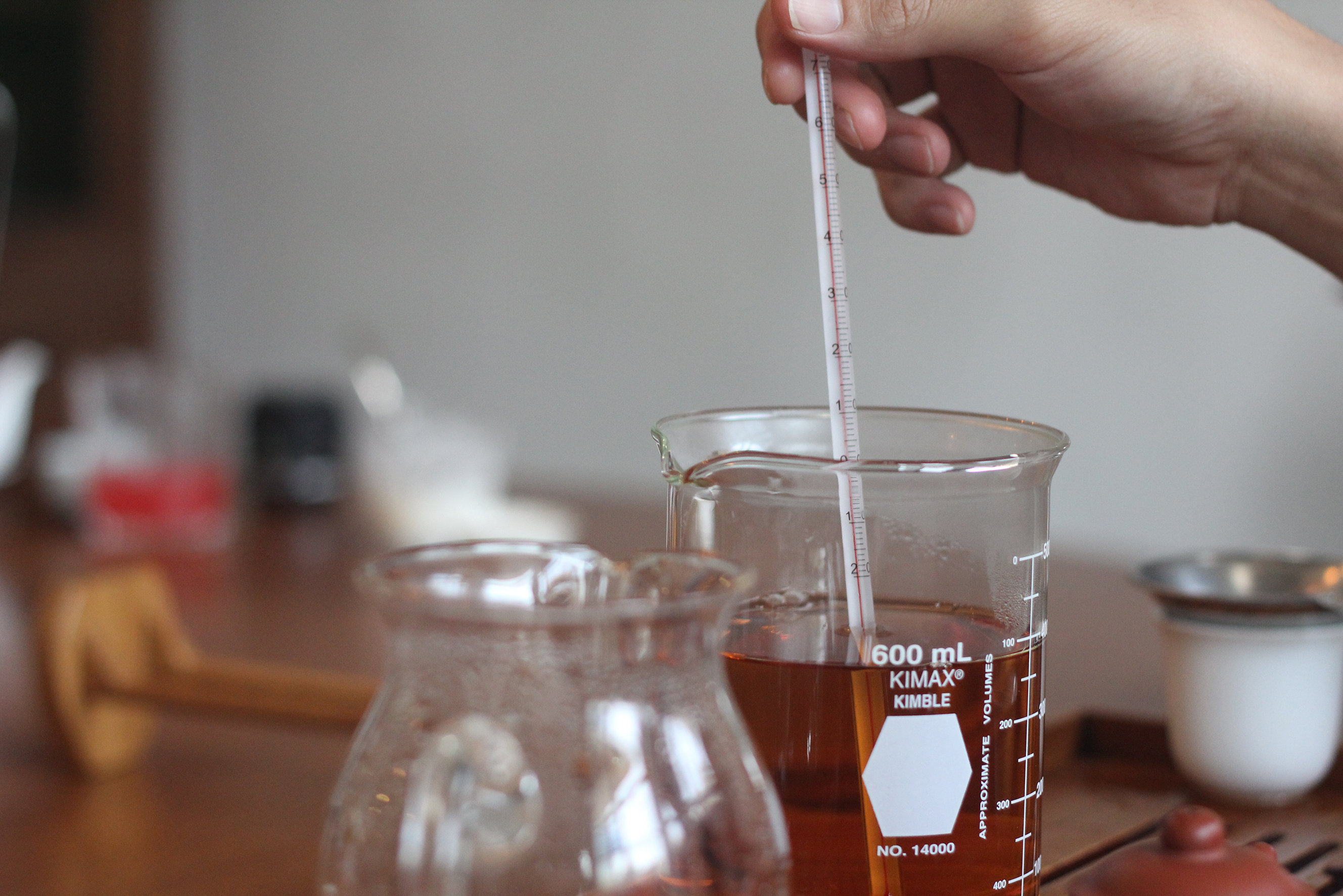 泡茶茶葉量與浸泡時間教學