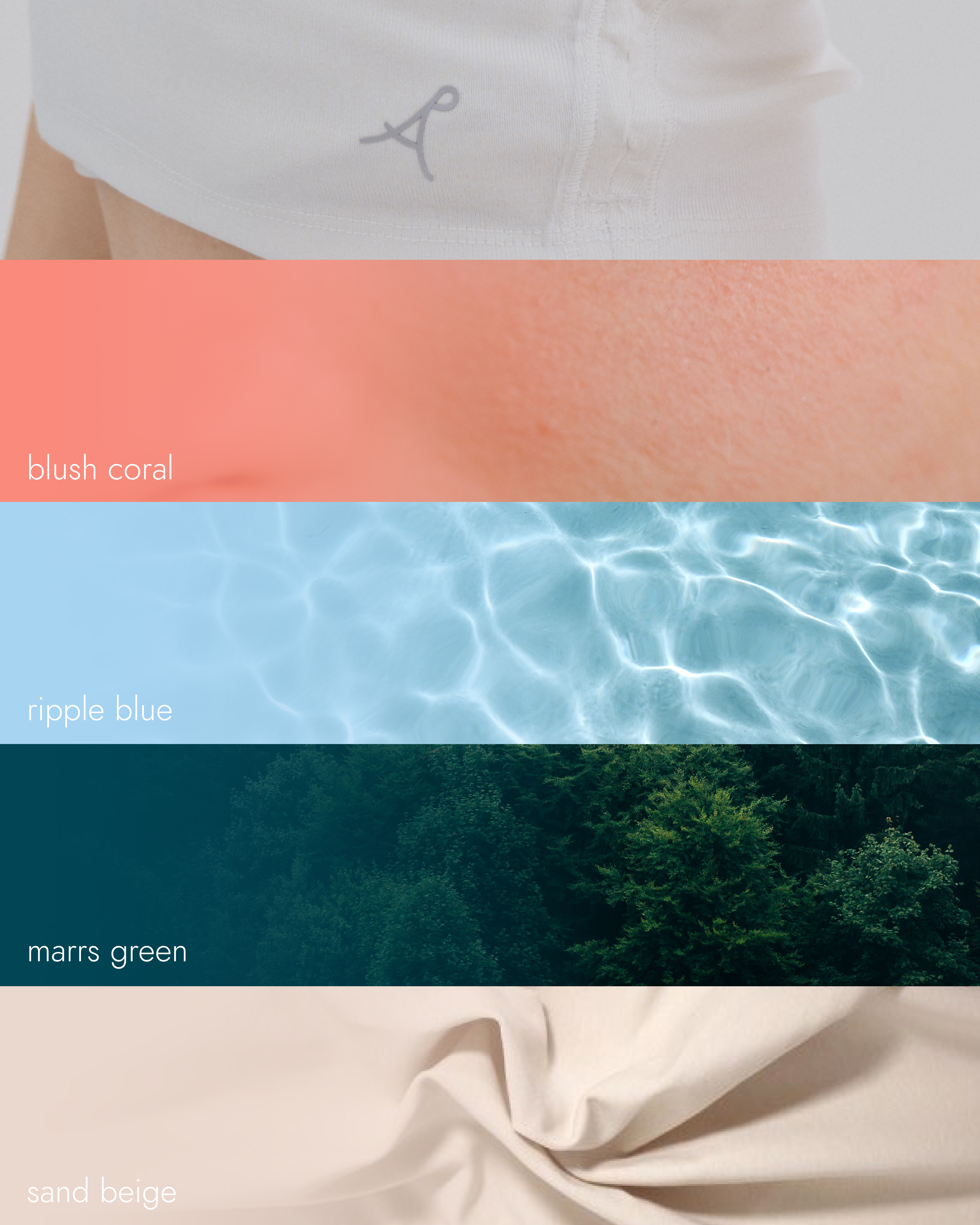 PrettyAim Brand Colors