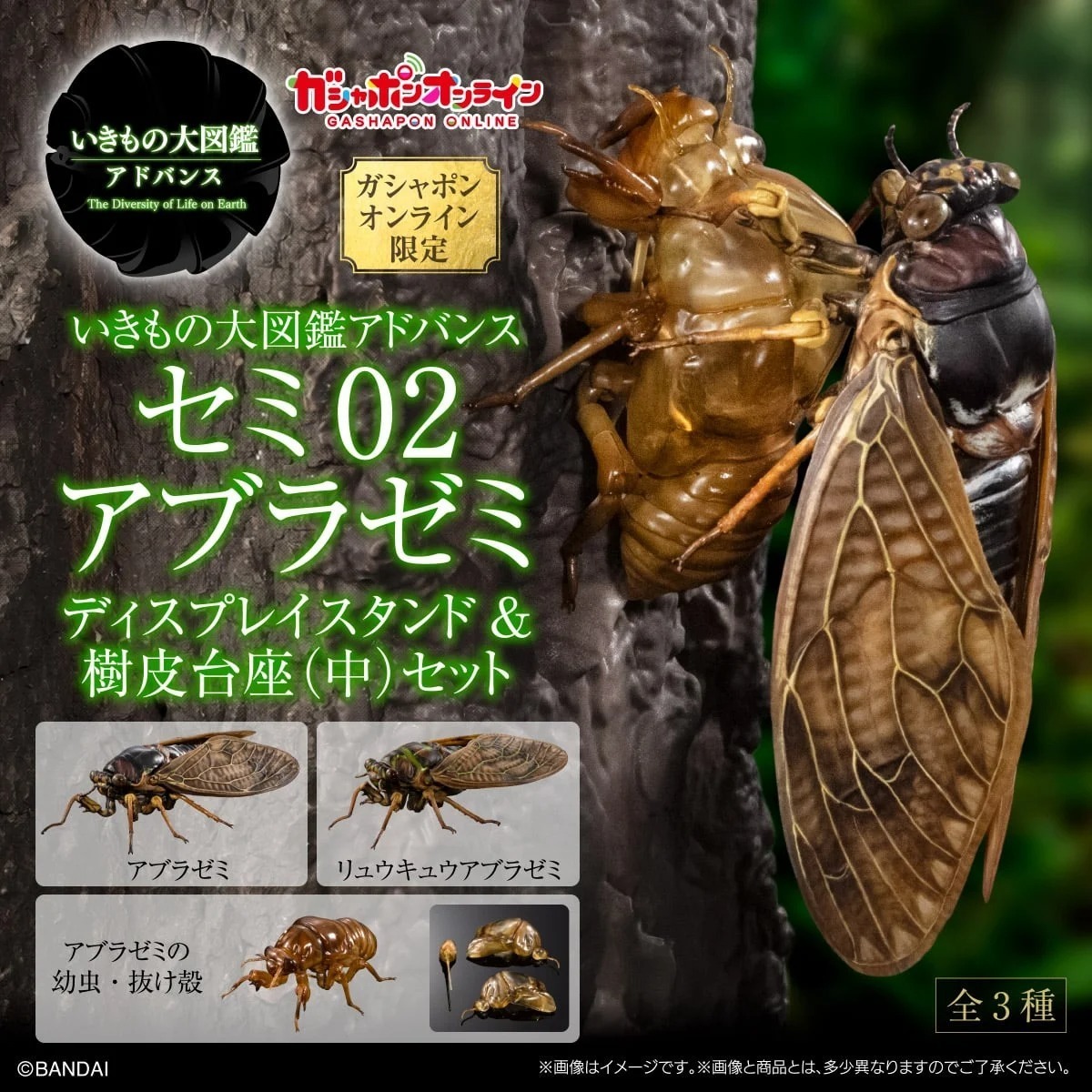 [魂SHOP限定] 生物大圖鑑 大棕色蟬02 展示支架套裝