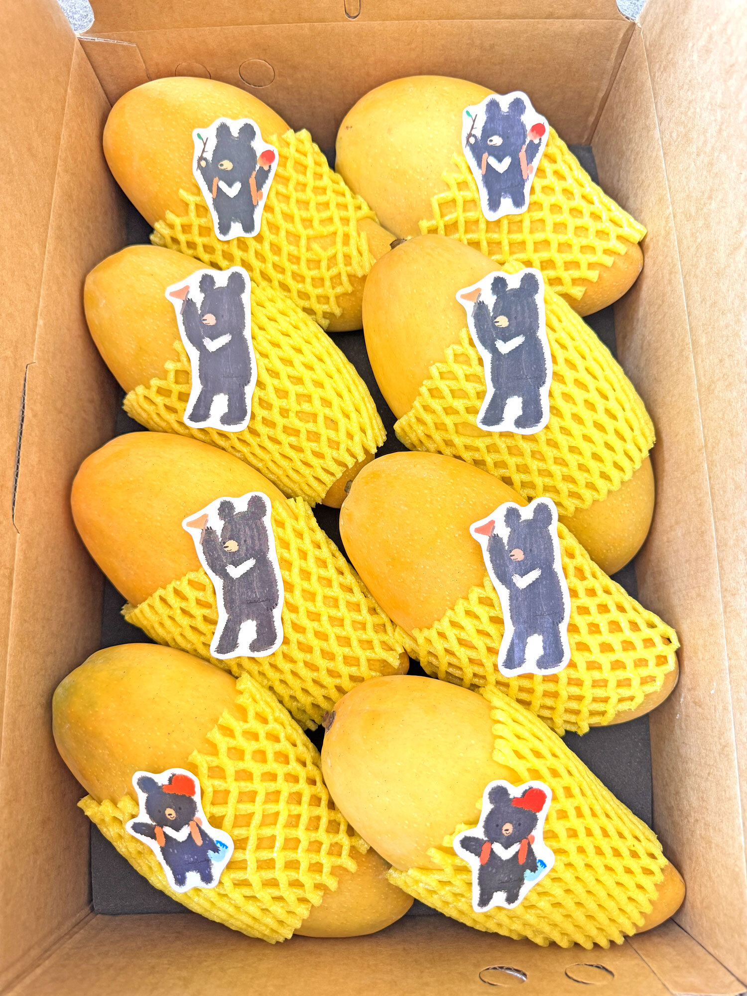 Taiwan Golden Mangoes - Premium 6-8 pcs - 5.4kg (600-1480g/each)