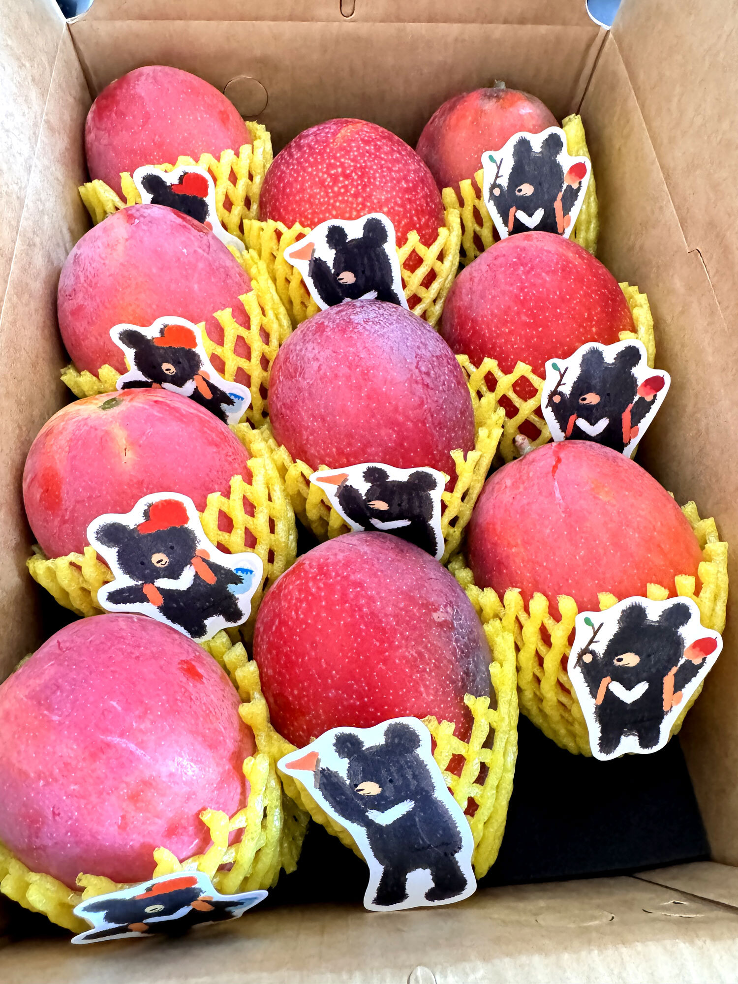 Taiwan Pingtung Irwin Mangoes - Premium 10 pcs - 3kg (263-300g/each)