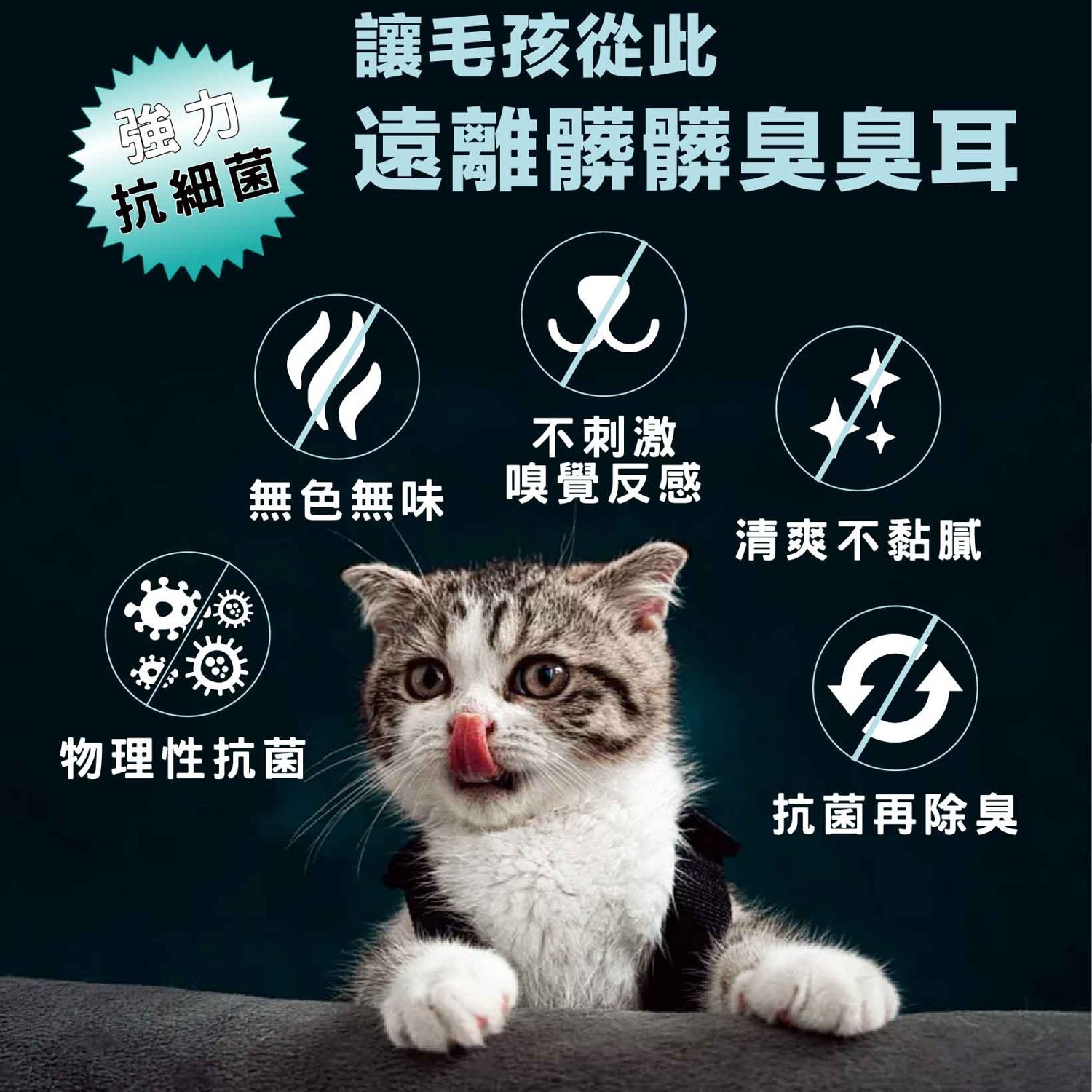 【Aether 依鈦抗菌專家】寵物潔耳液 100ml