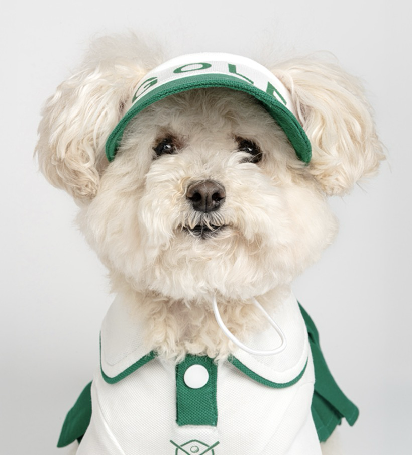 狗狗高爾夫防曬帽⛳️