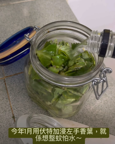 菜園村高婆婆｜天然左手香香茅防蚊噴霧