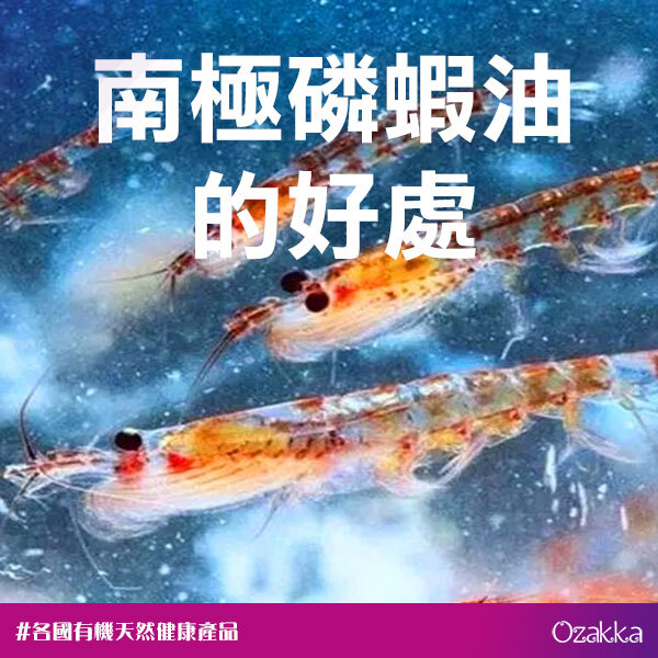 南極磷蝦油的好處