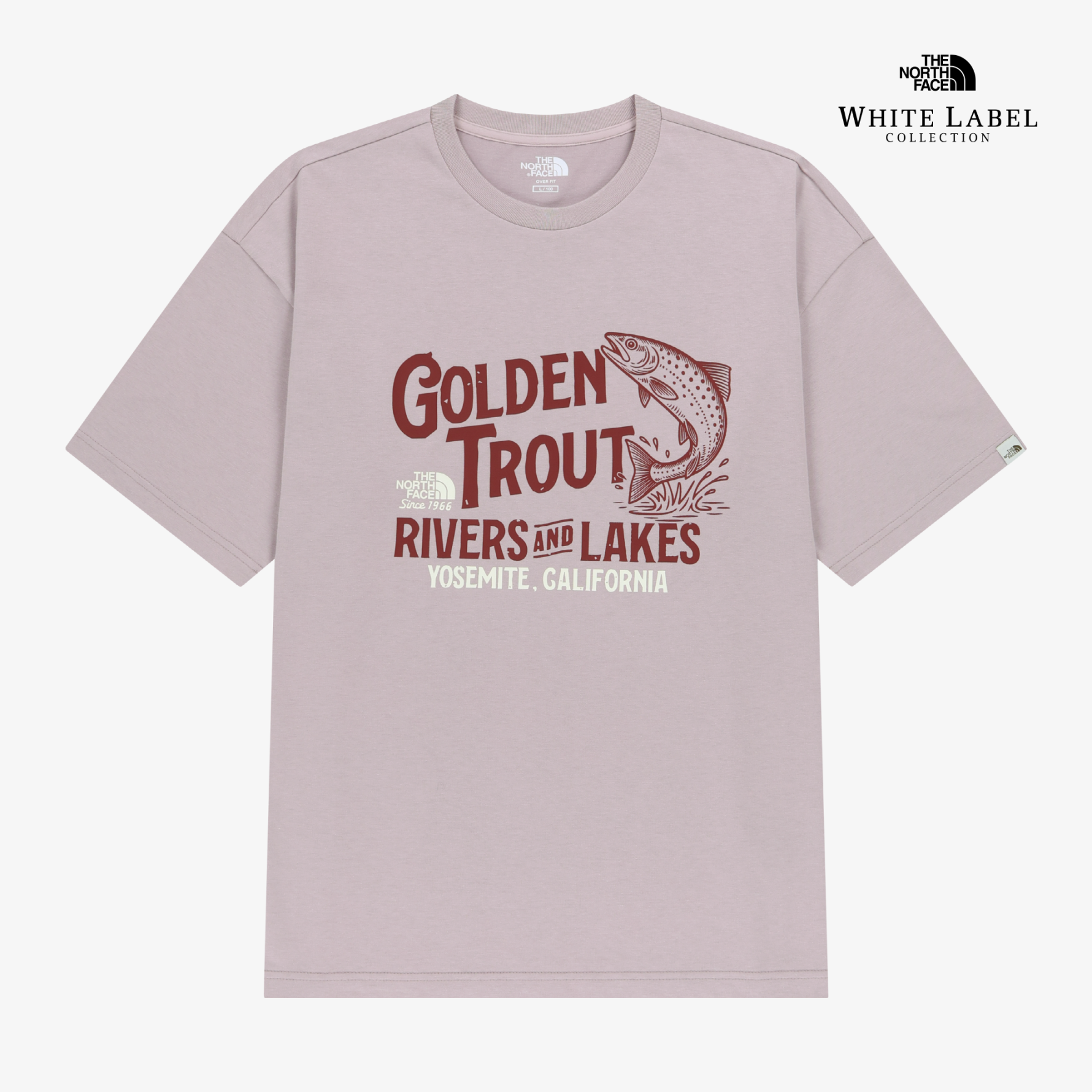 【代購】韓國限定  THE NORTH FACE 26SS LAKE 復古金鱒魚圖案落肩寬鬆短 T 恤 NT7US28 (四色)
