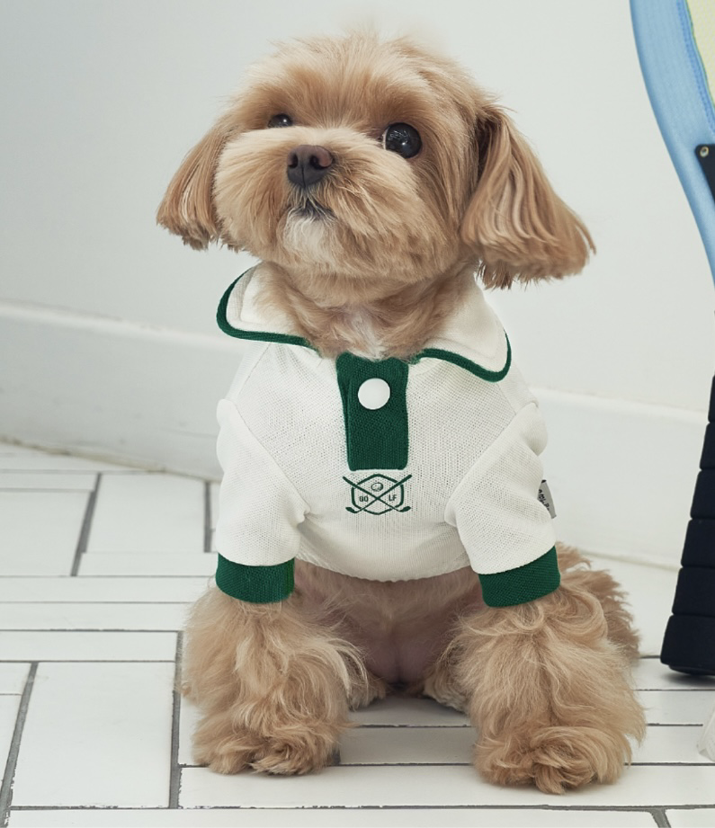 Bailey狗狗透氣高爾夫polo衫(S-2XL)