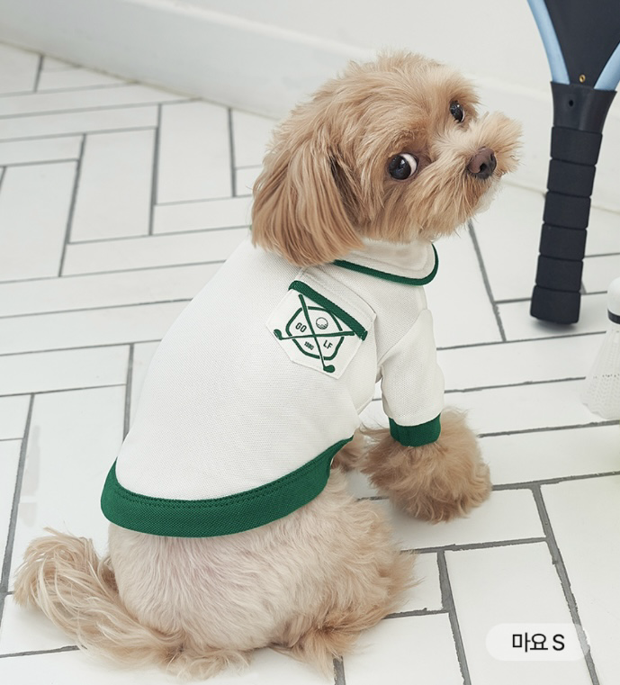 Bailey狗狗透氣高爾夫polo衫(S-2XL)