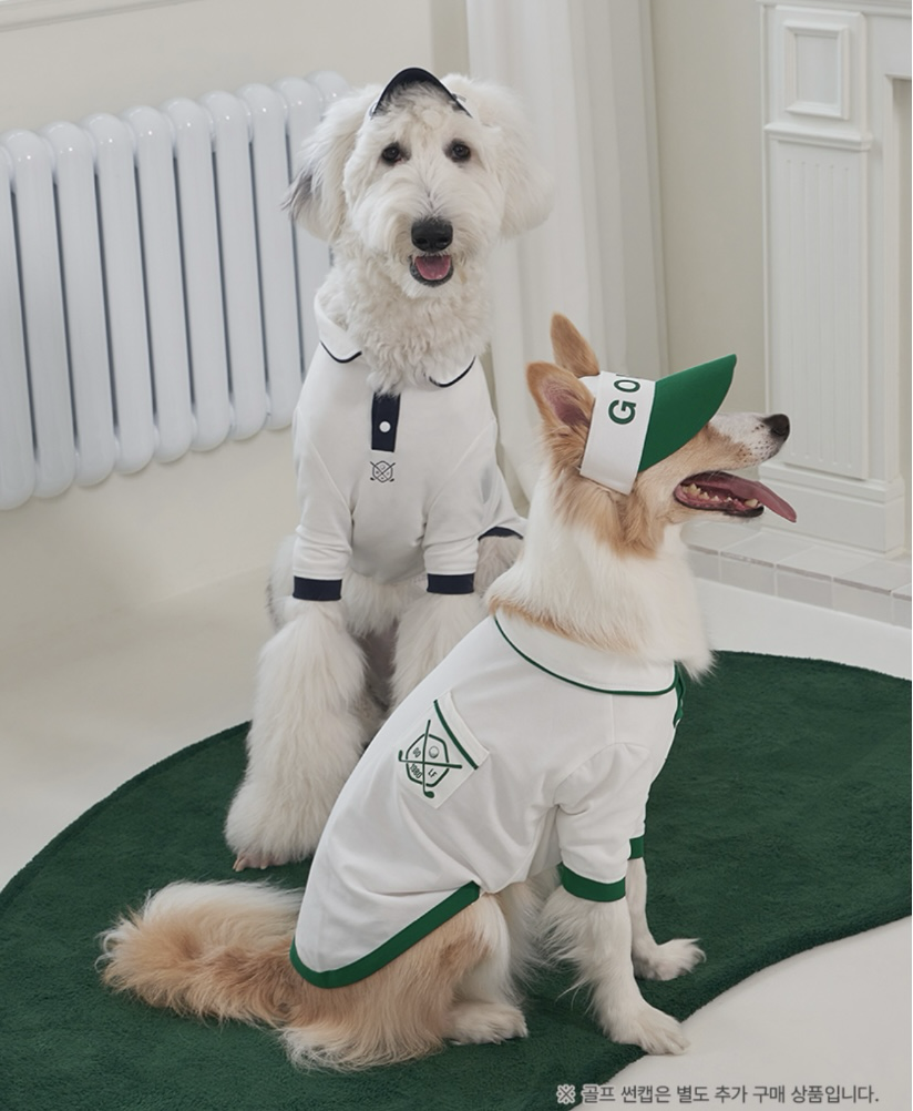 Bailey狗狗透氣高爾夫polo衫(3XL-5XL)