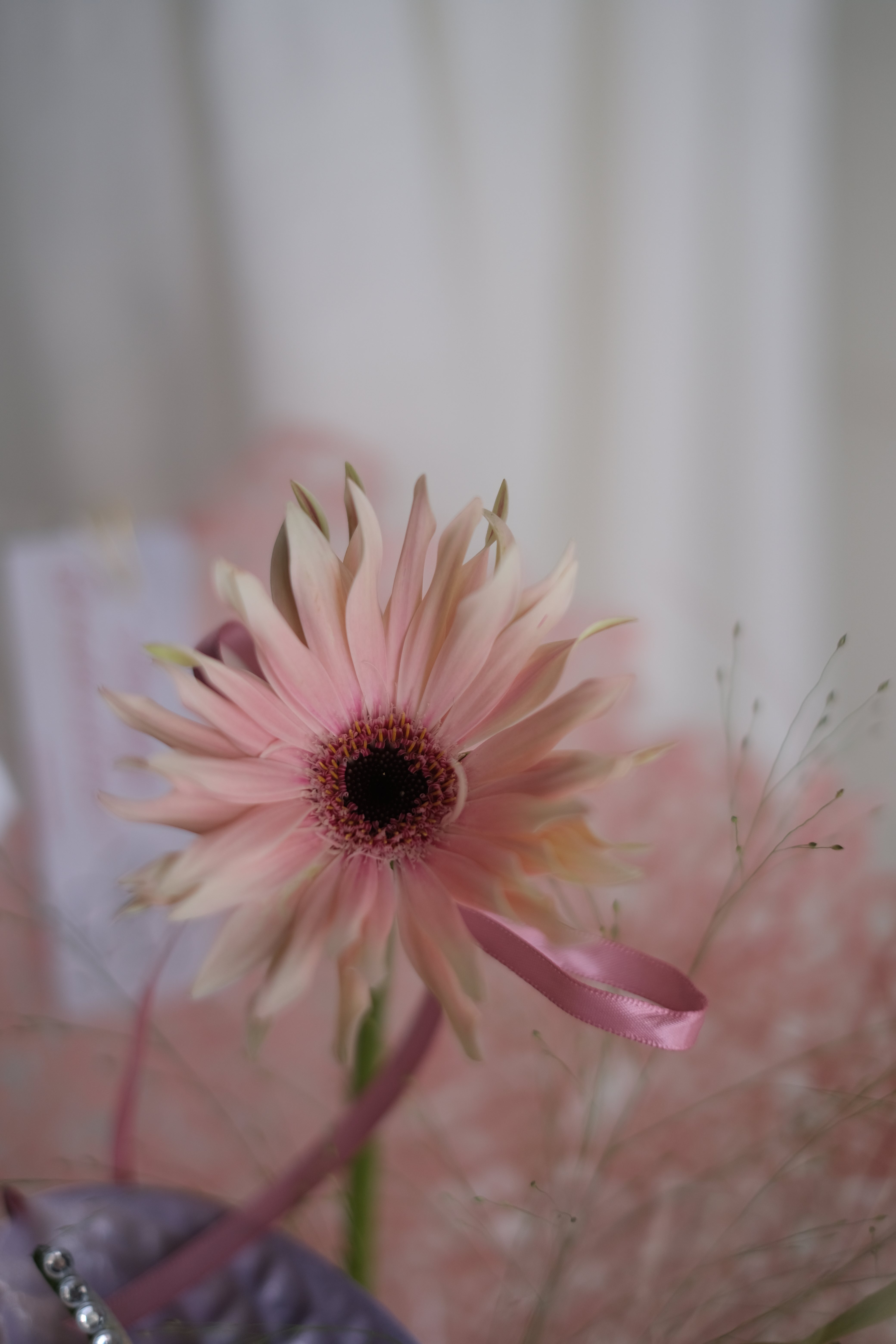 To the free spirit with wild ideas