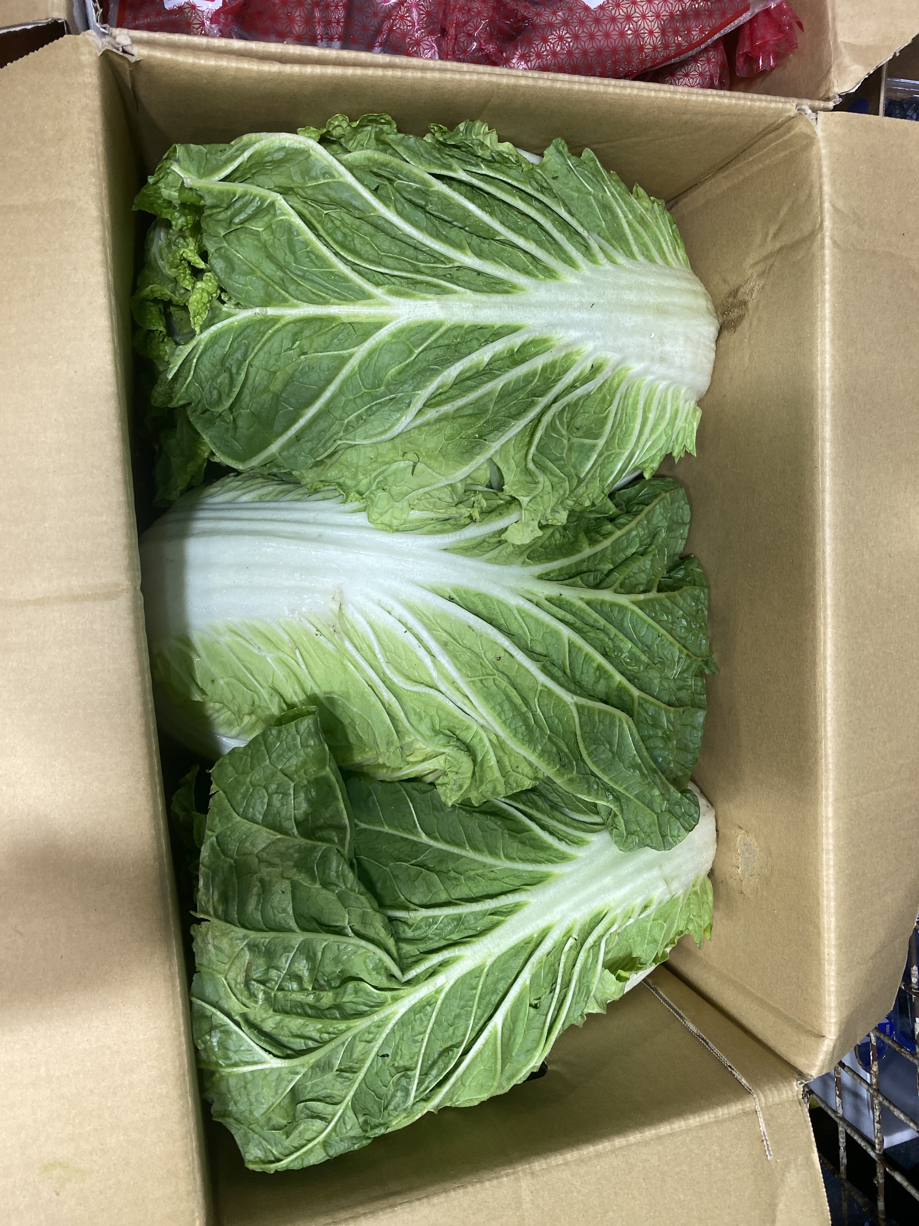 【水果】0526 果欄直播 日本 大白菜一個