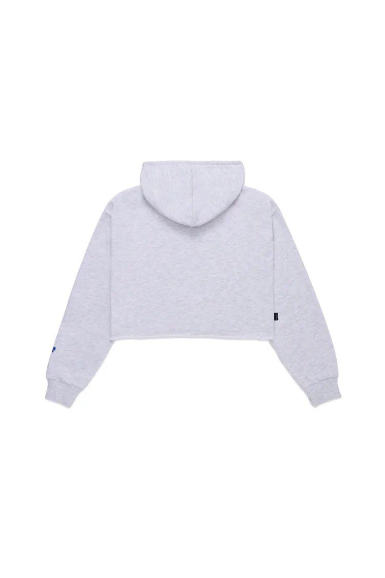 Little Bliss Cropped Hoodie - Gray