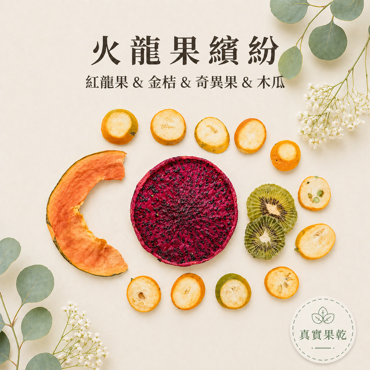 火龍果繽紛 13入