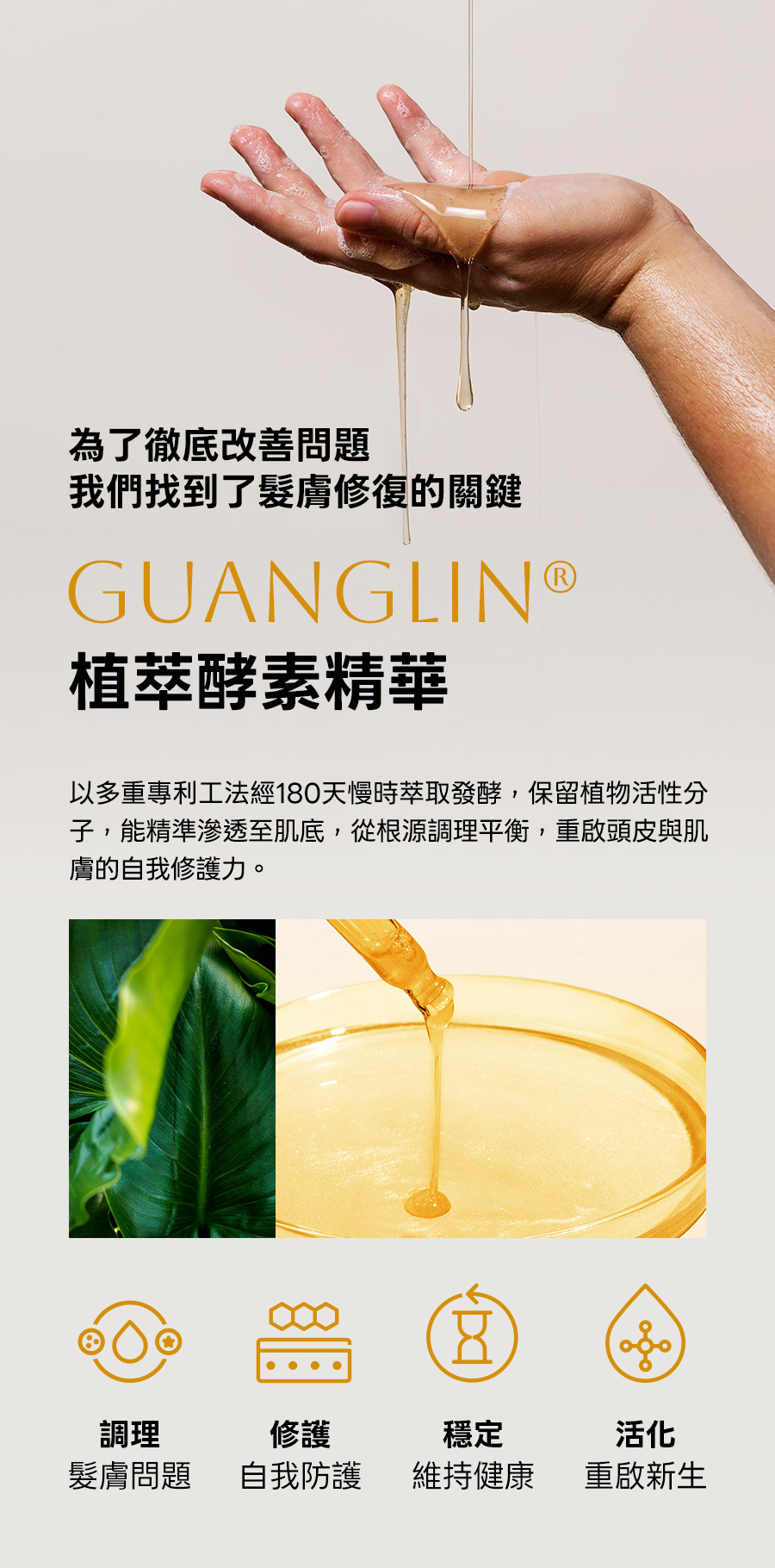 酵素精華Guanglin