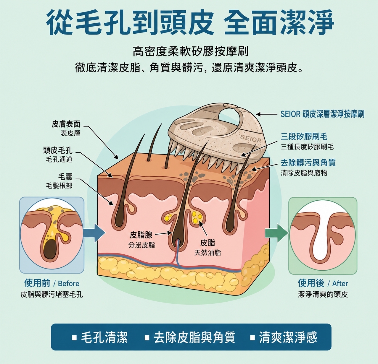 (預購商品) 韓國 SEIOR 三段頭皮深層潔淨按摩刷