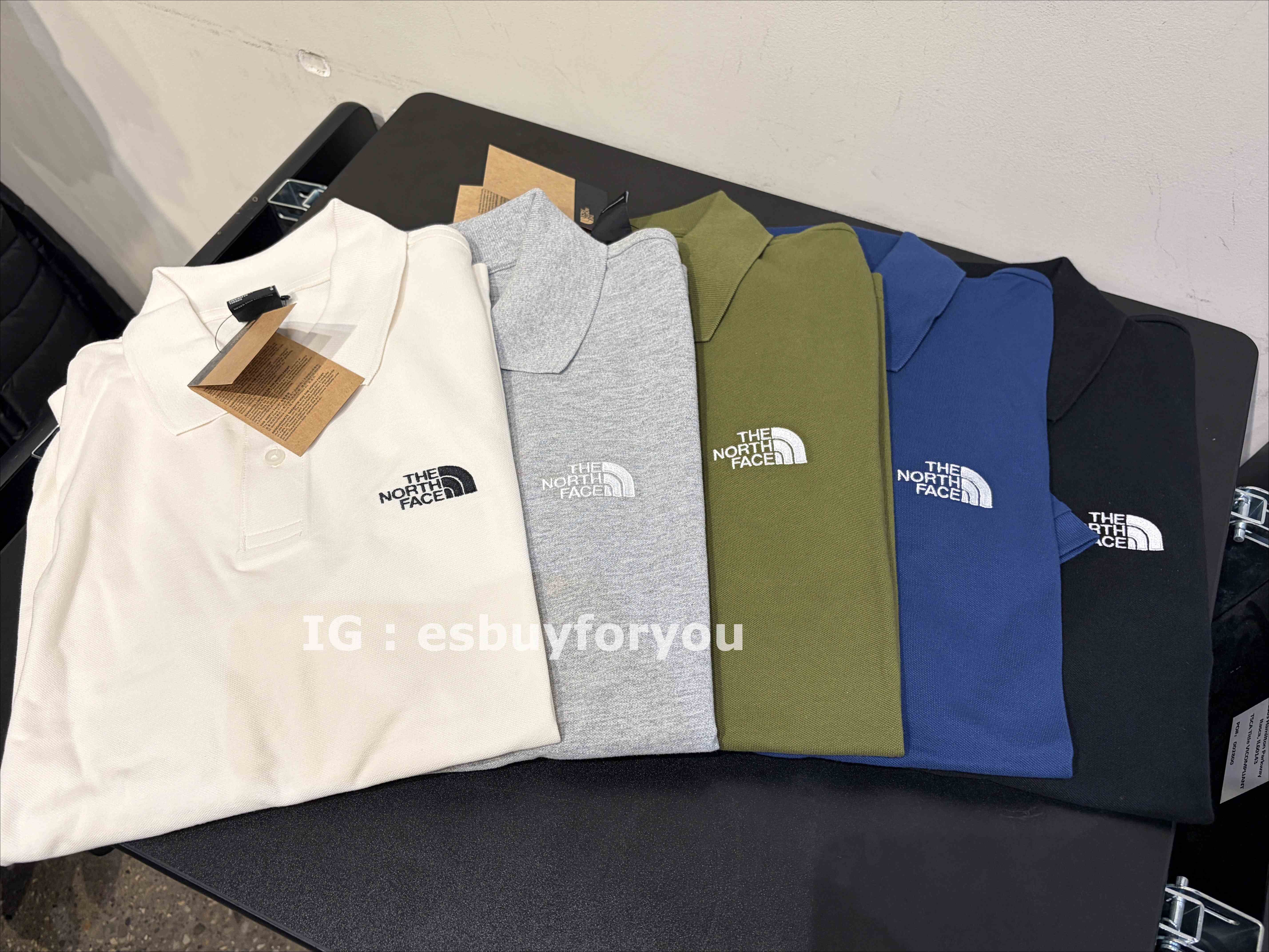 THE NORTH FACE 男大人 刺繡標 網眼材質 Polo衫 (5色)