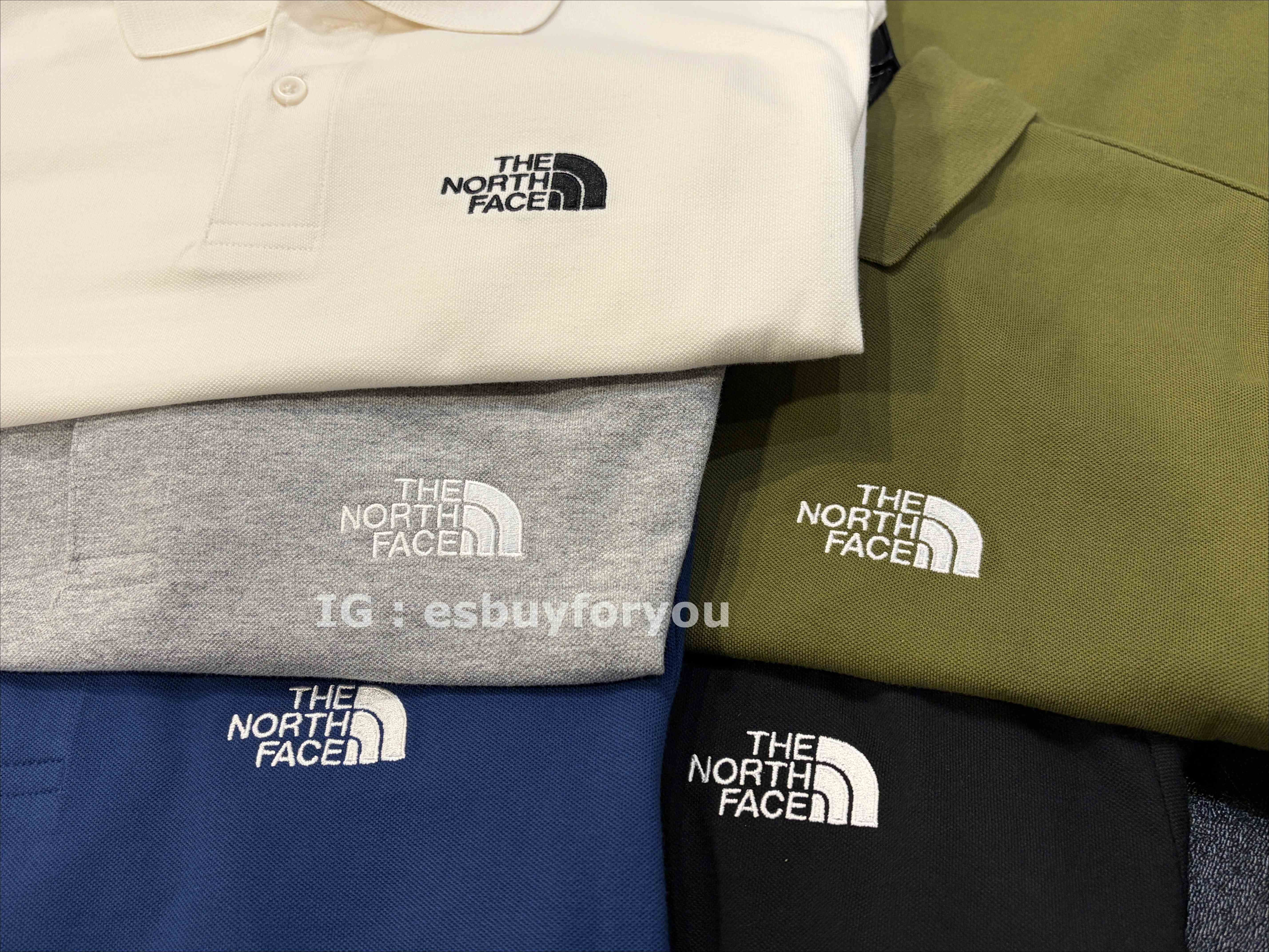 THE NORTH FACE 男大人 刺繡標 網眼材質 Polo衫 (5色)