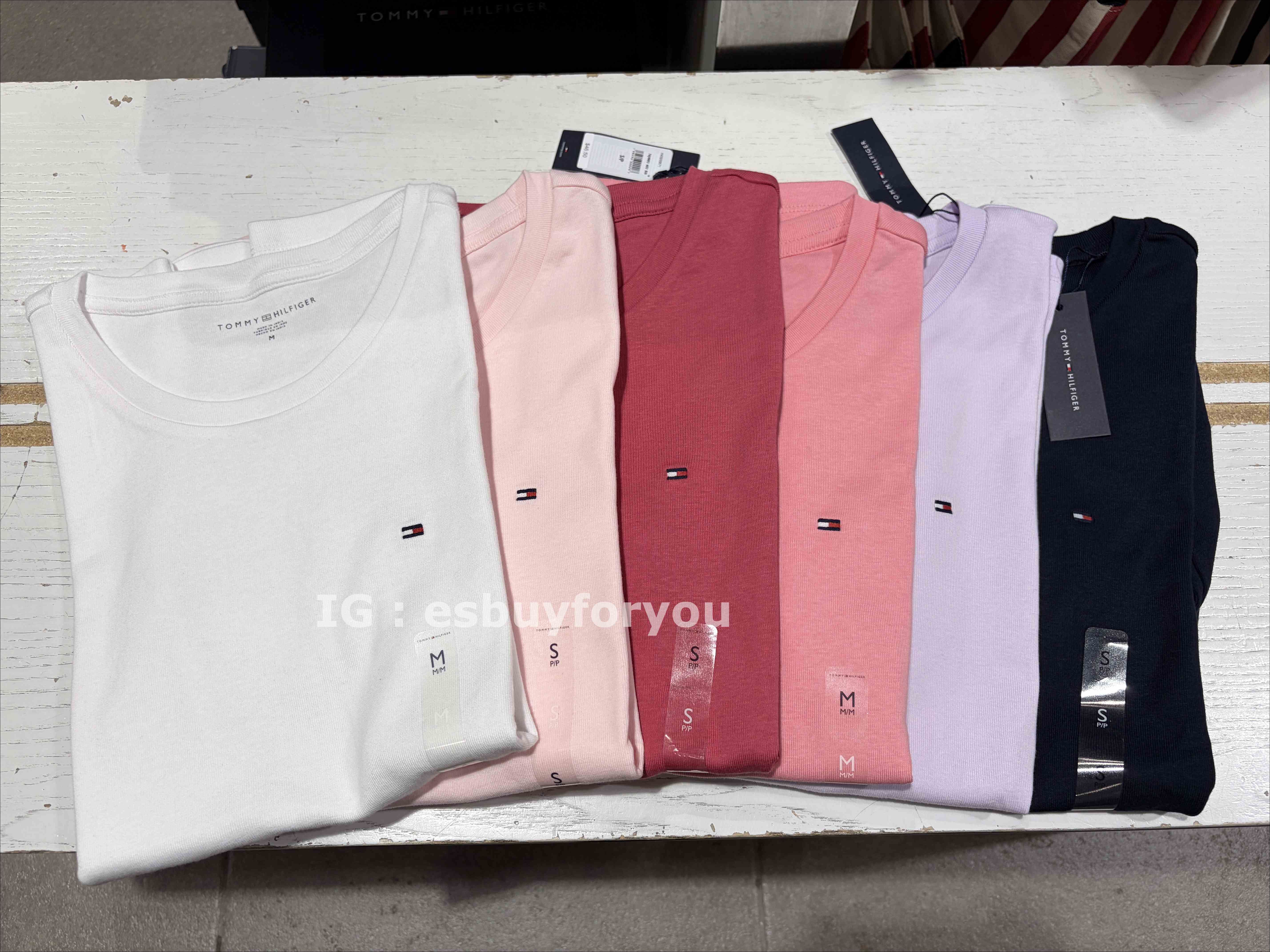 TOMMY 女大人 圓領 素面 短TEE (6色)